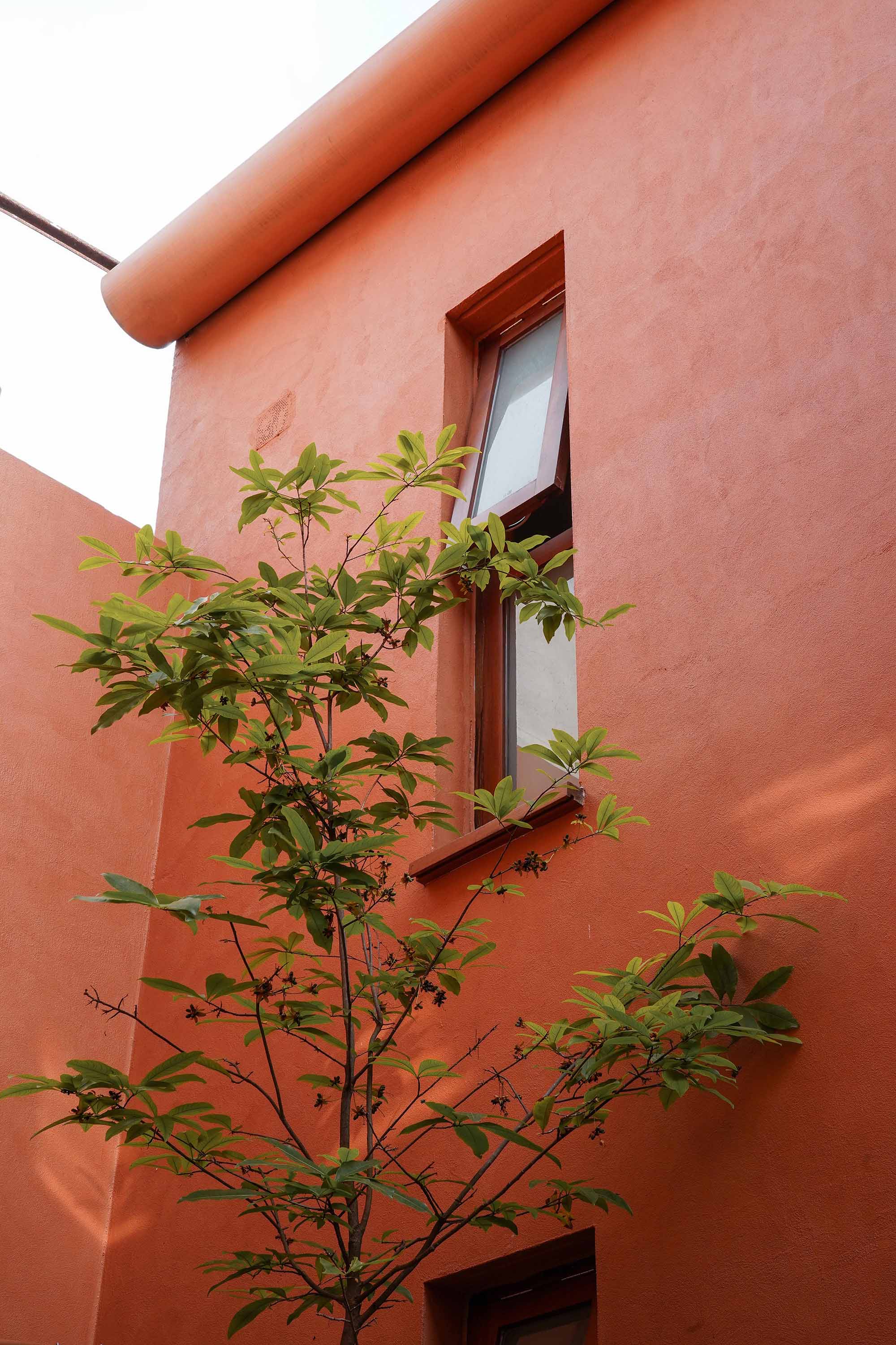 〈テラコッタ・ブレス（Terracotta Breath）〉ライブアウトスタジオ（live out studio）