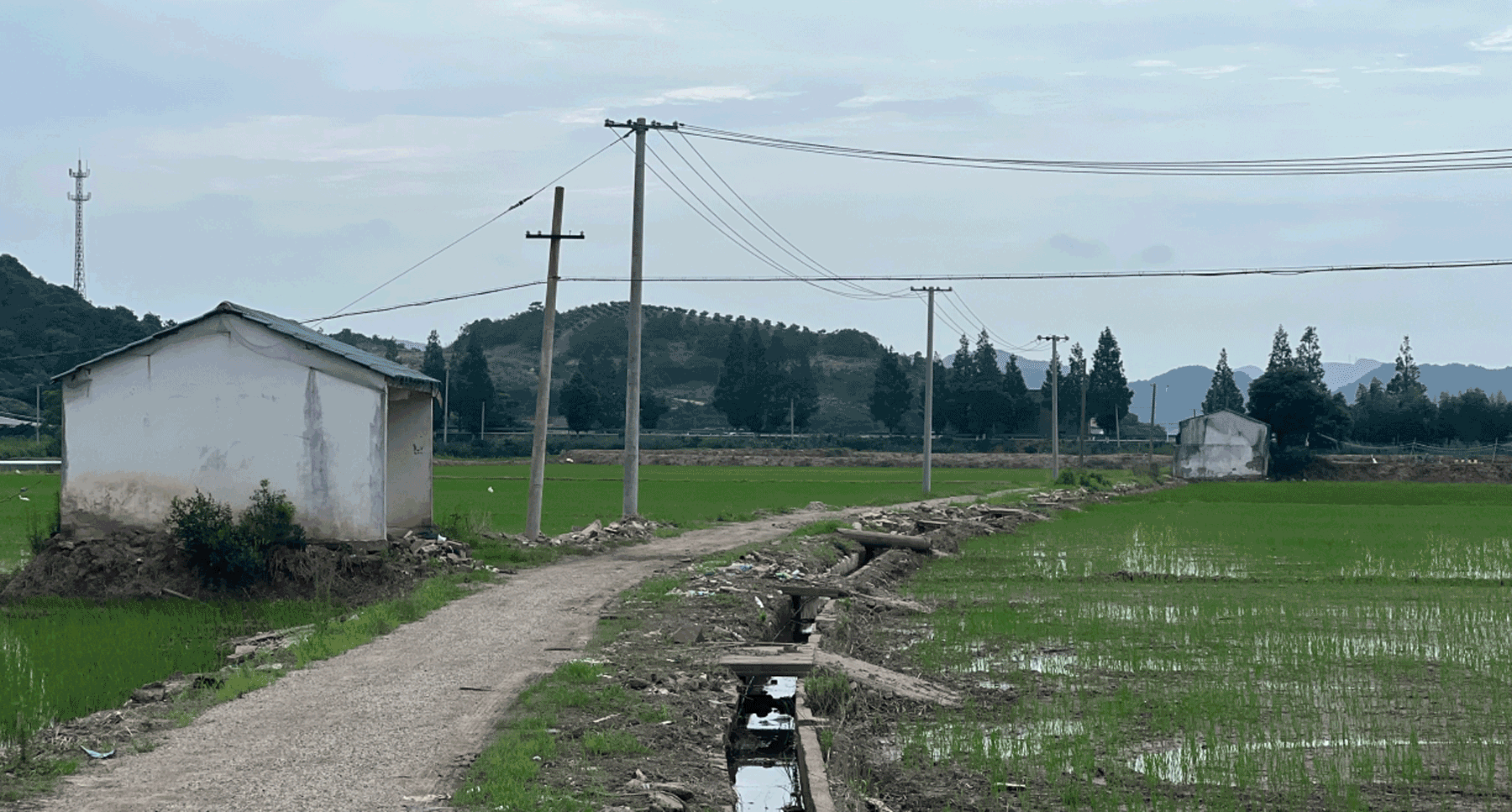 〈Down in the Clouds〉Practice on Earth、Increments Studio