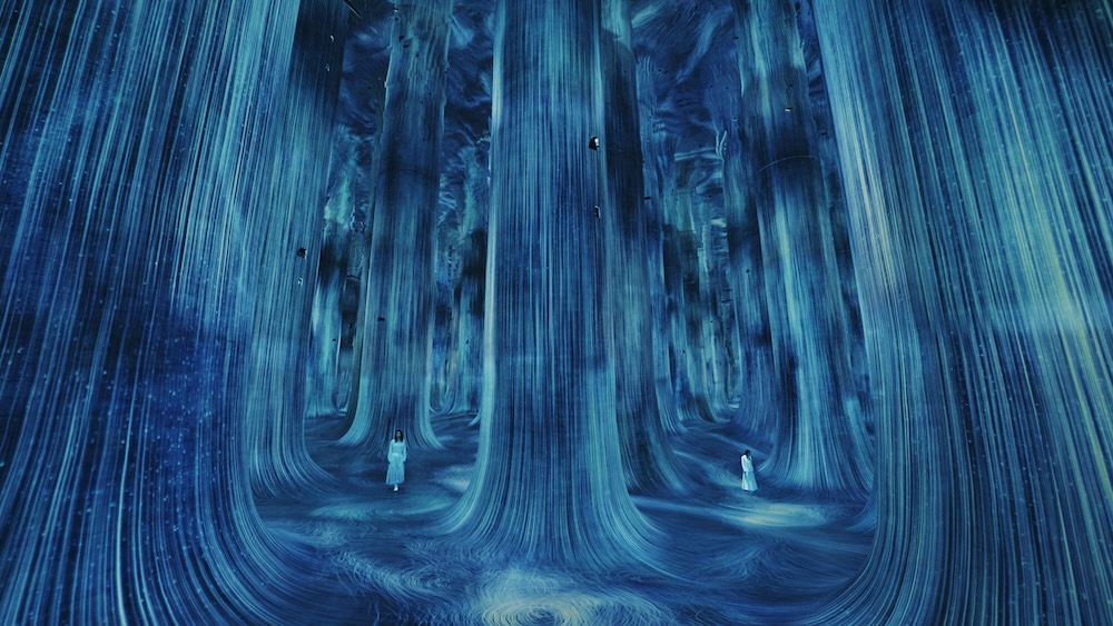 teamLab Phenomena Abu Dhabi（チームラボフェノメナ アブダビ）