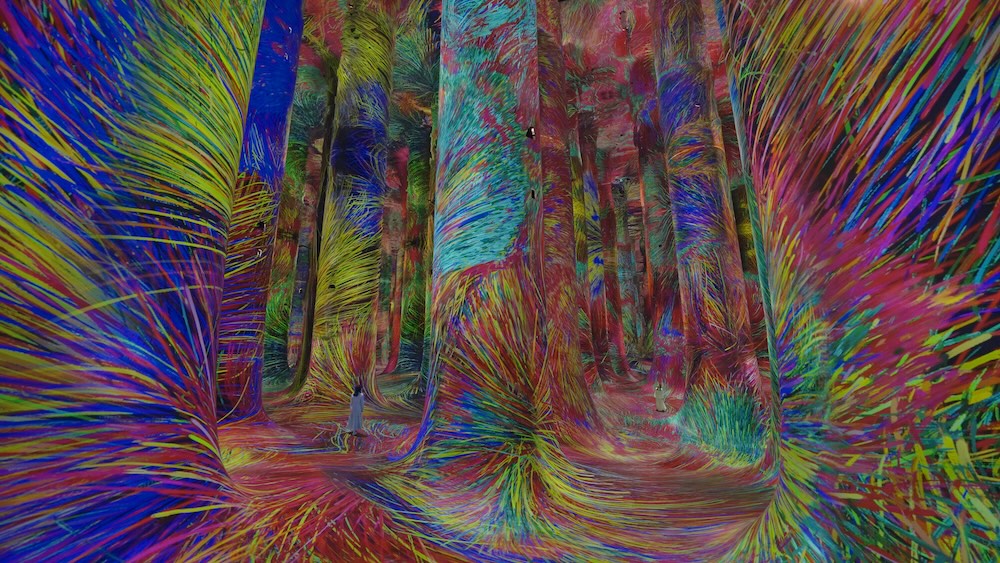 teamLab Phenomena Abu Dhabi（チームラボフェノメナ アブダビ）