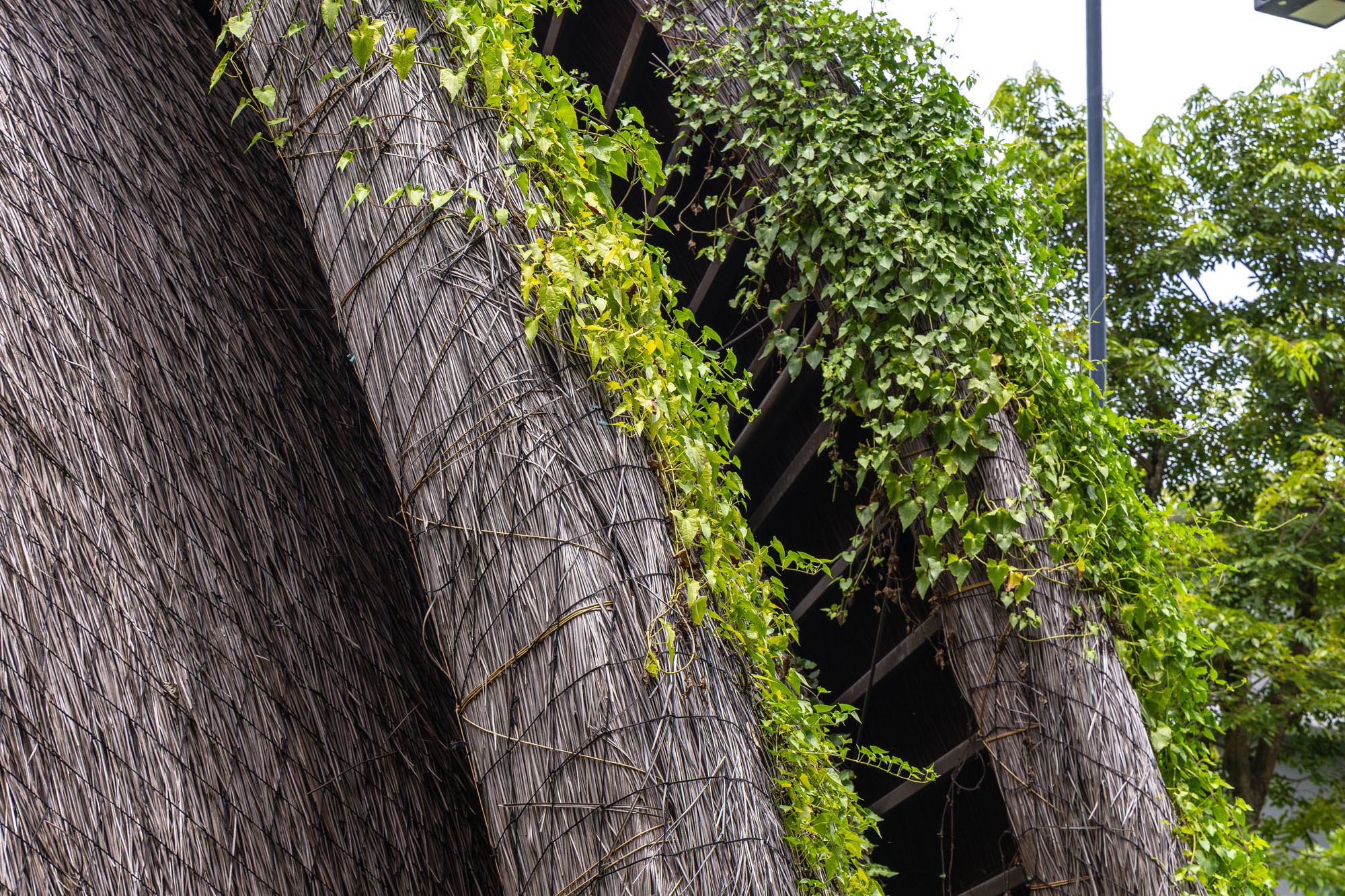 〈グオット・ガーデン・クラブハウス（Guột Garden Club House）〉ホー・クエ・アーキテクツ（Ho Khue Architects）