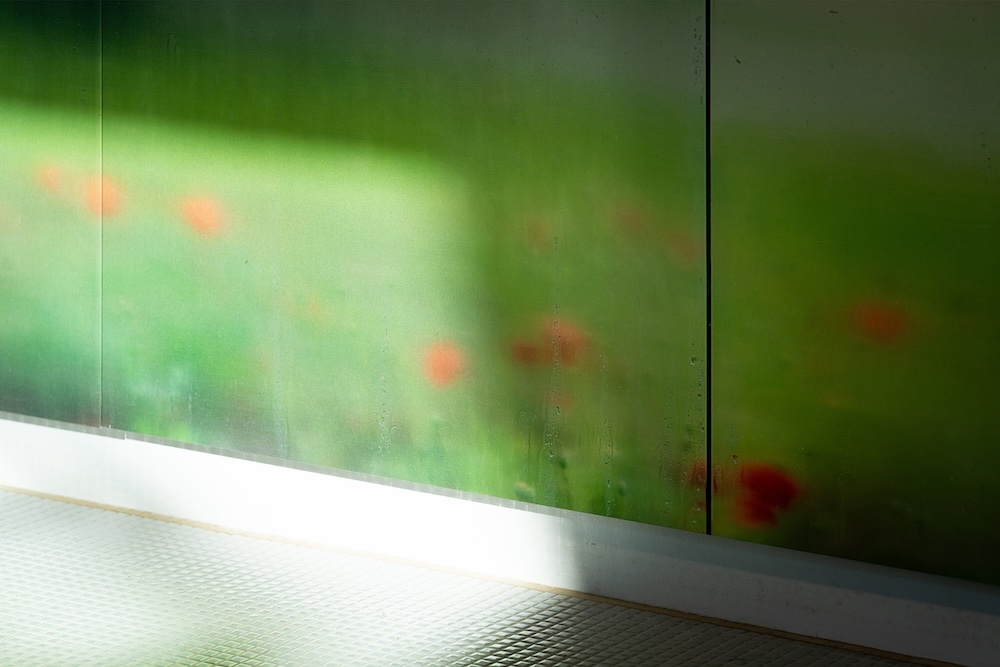 石山和広「ランドスケープをつくる　みる意識をみつめる」展 会場写真