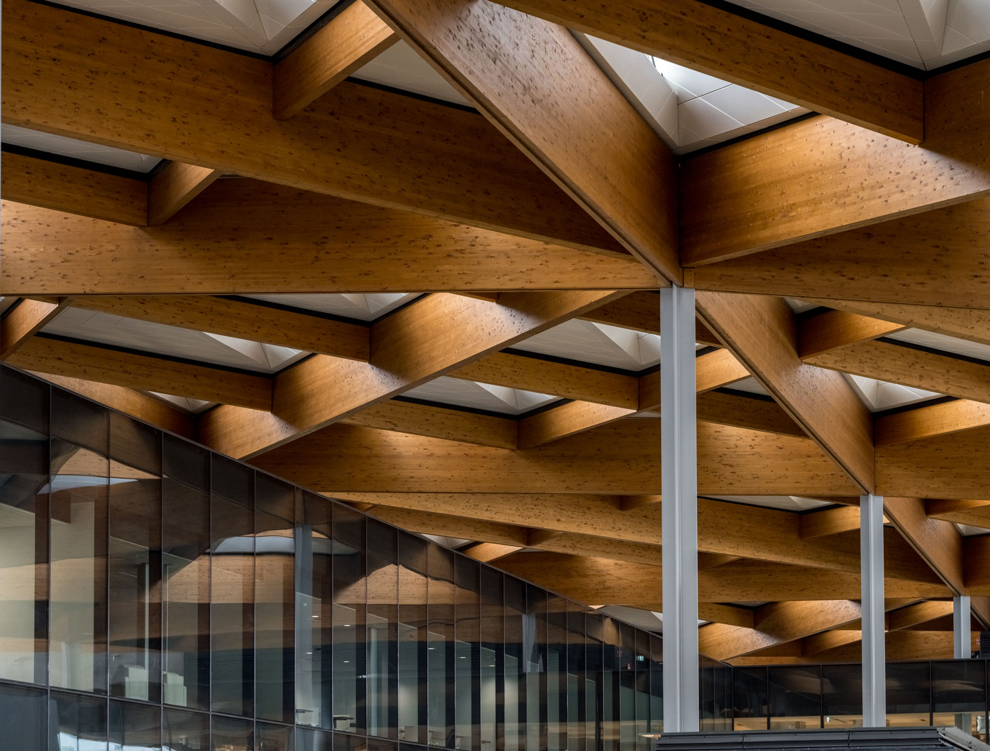 〈シドニー・フィッシュマーケット(Sydney Fish Market)〉3XN、GXN、BVN、ASPECT Studios