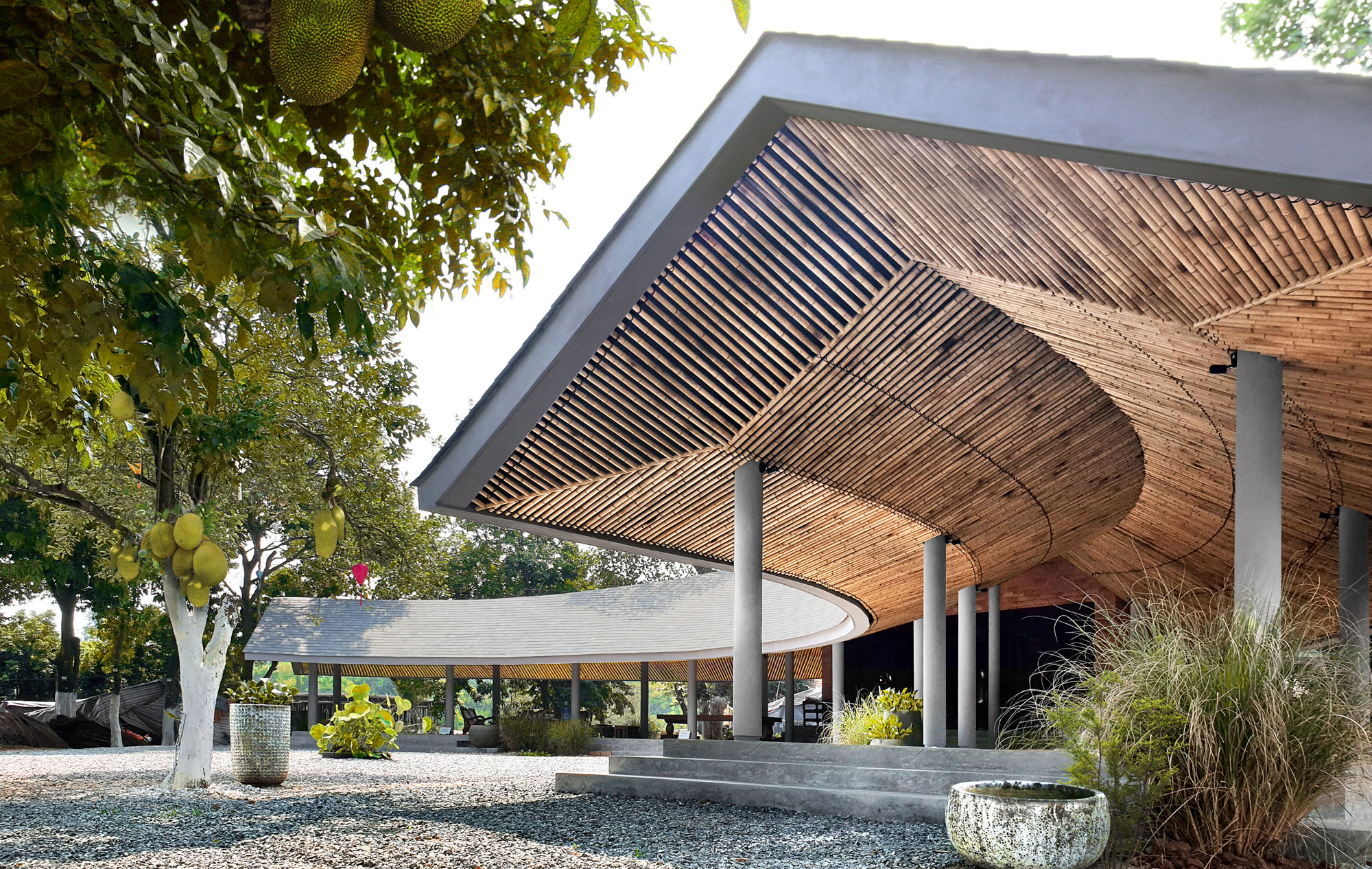 〈ジャックフルーツ・ビレッジ（Jackfruit Village）〉1 + 1＞2アーキテクツ（1+1>2 Architects）
