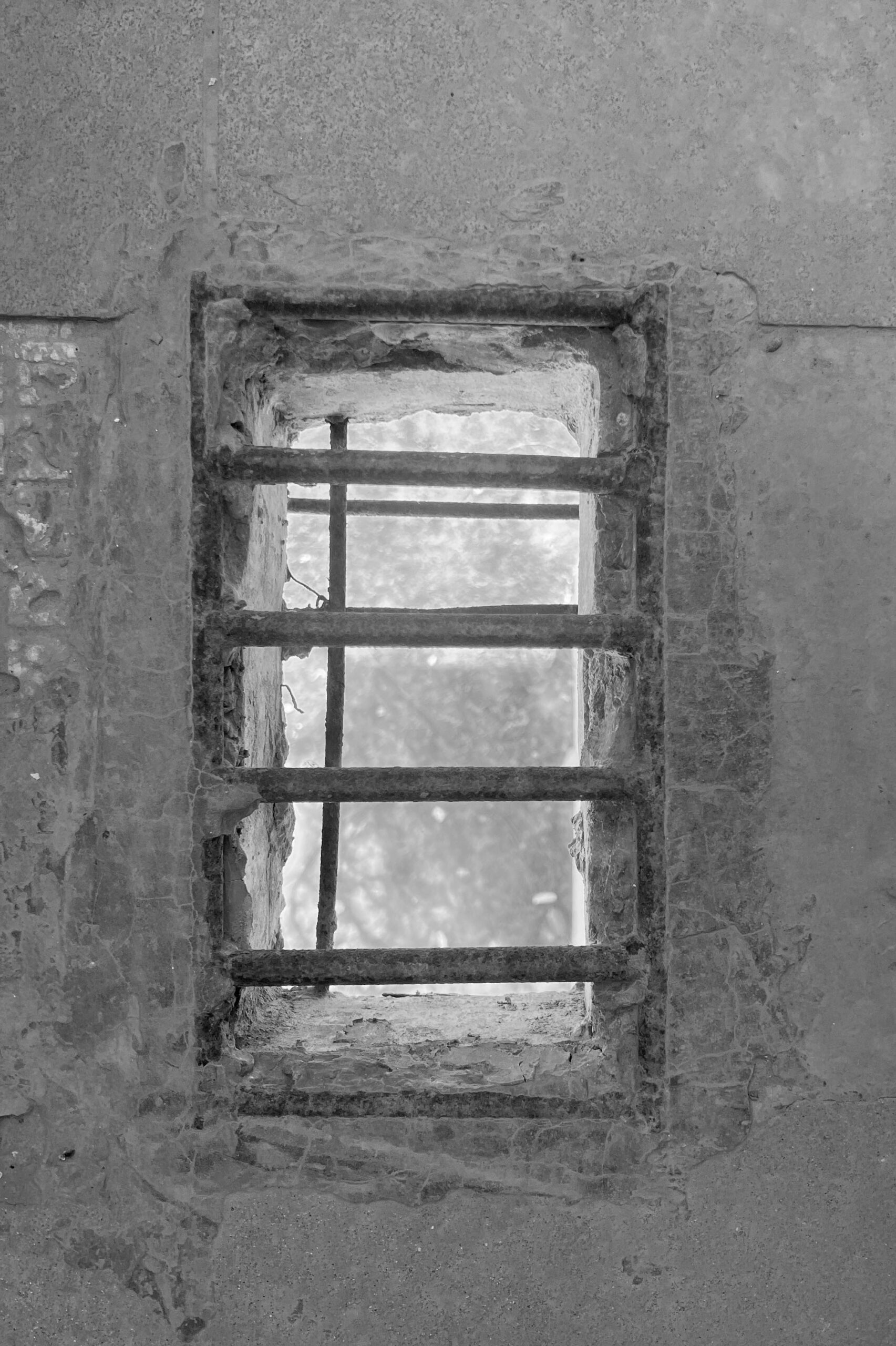 〈とても小さな24時間営業の本屋(A Very Small 24-hour Bookstore)〉