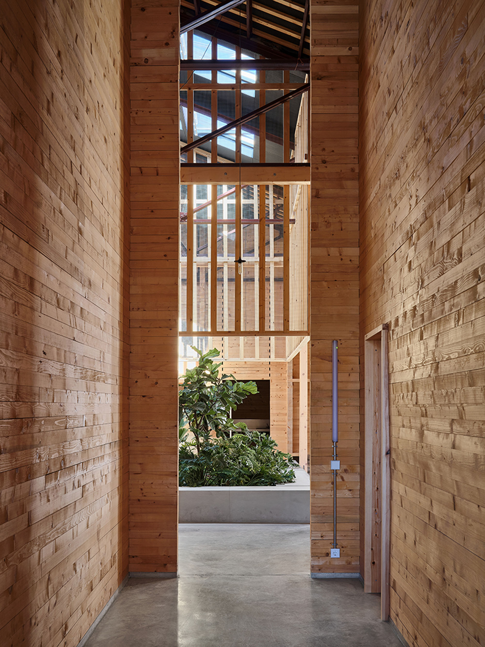 〈Rehabilitation of Vapor Cortès. Prodis 1923〉HARQUITECTES