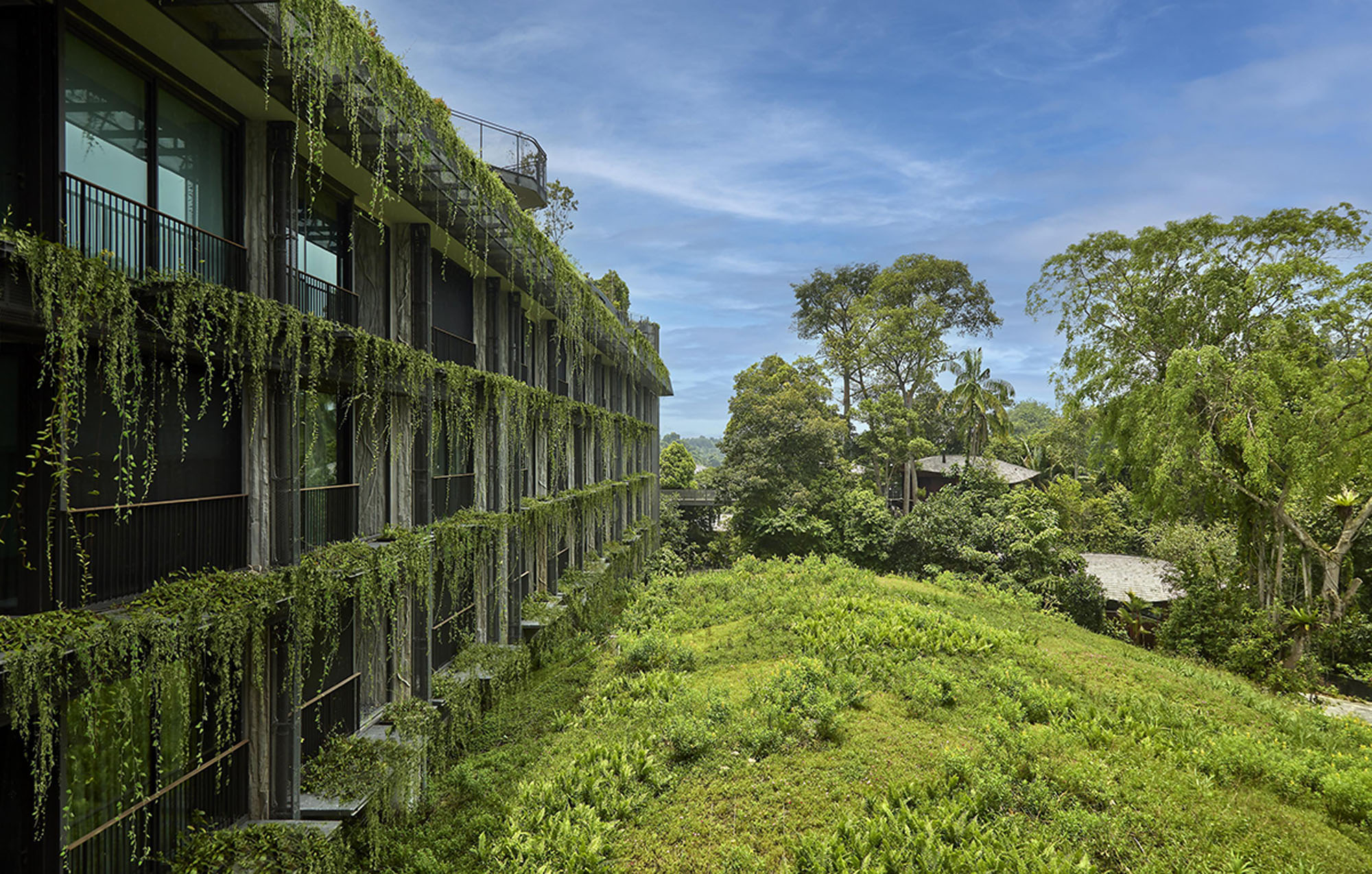 〈マンダイ・レインフォレスト・リゾート(Mandai Rainforest Resort)〉WOW Architects(Warner Wong Design)