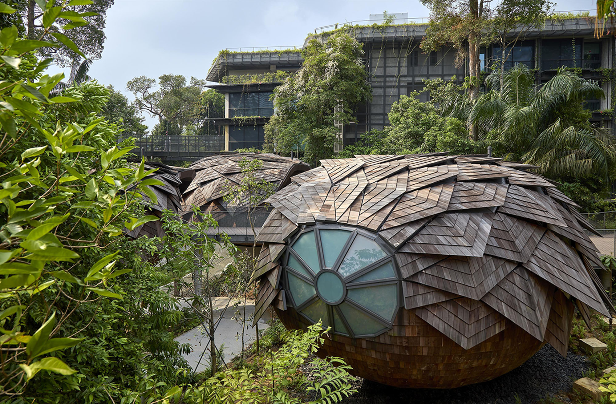 〈マンダイ・レインフォレスト・リゾート(Mandai Rainforest Resort)〉WOW Architects(Warner Wong Design)