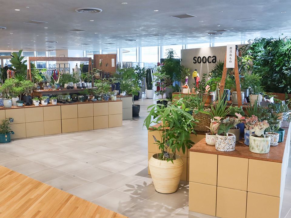 竹中庭園緑化がグリーンインテリア・什器設計デザイナーを募集