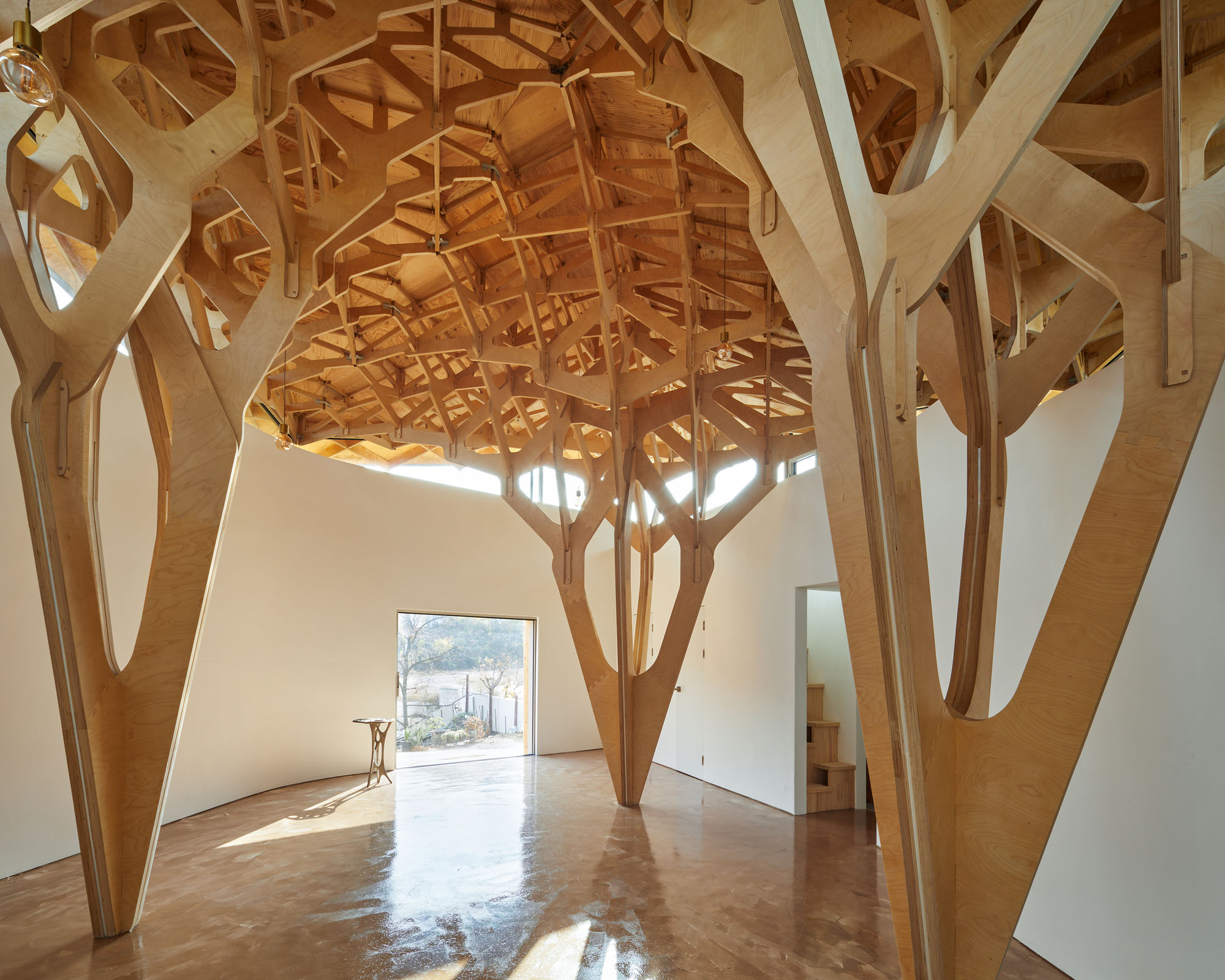 〈3本の木の家（The House of Three Trees）〉JK-AR（Jae Kim Architects & Researchers）