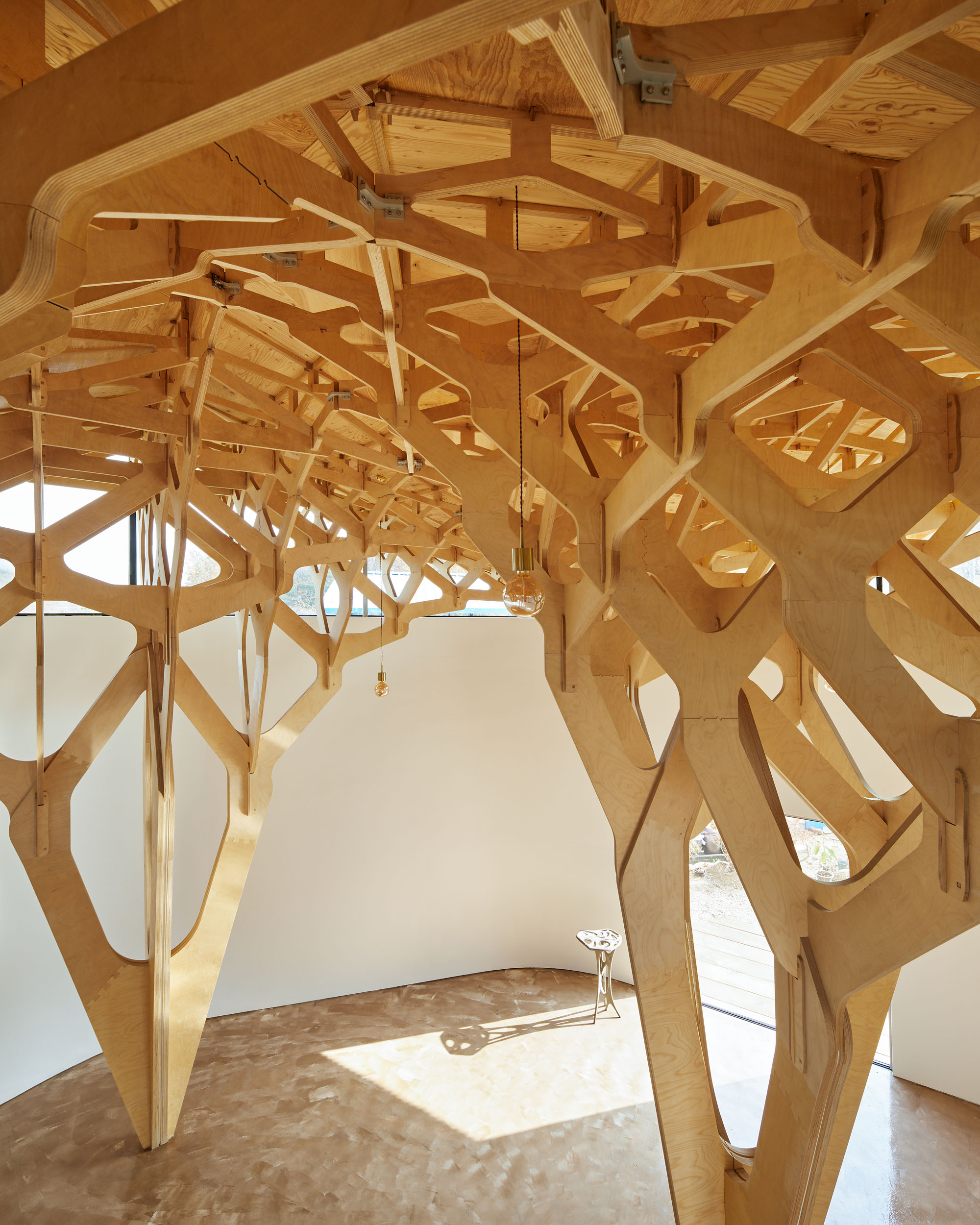 〈3本の木の家（The House of Three Trees）〉JK-AR（Jae Kim Architects & Researchers）
