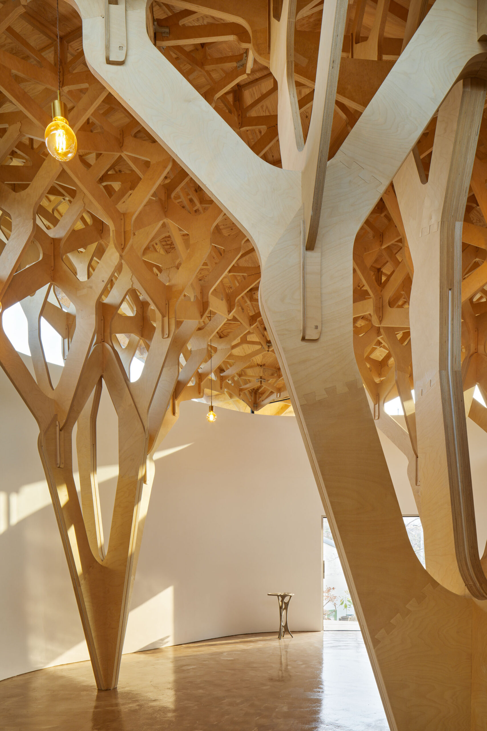 〈3本の木の家（The House of Three Trees）〉JK-AR（Jae Kim Architects & Researchers）