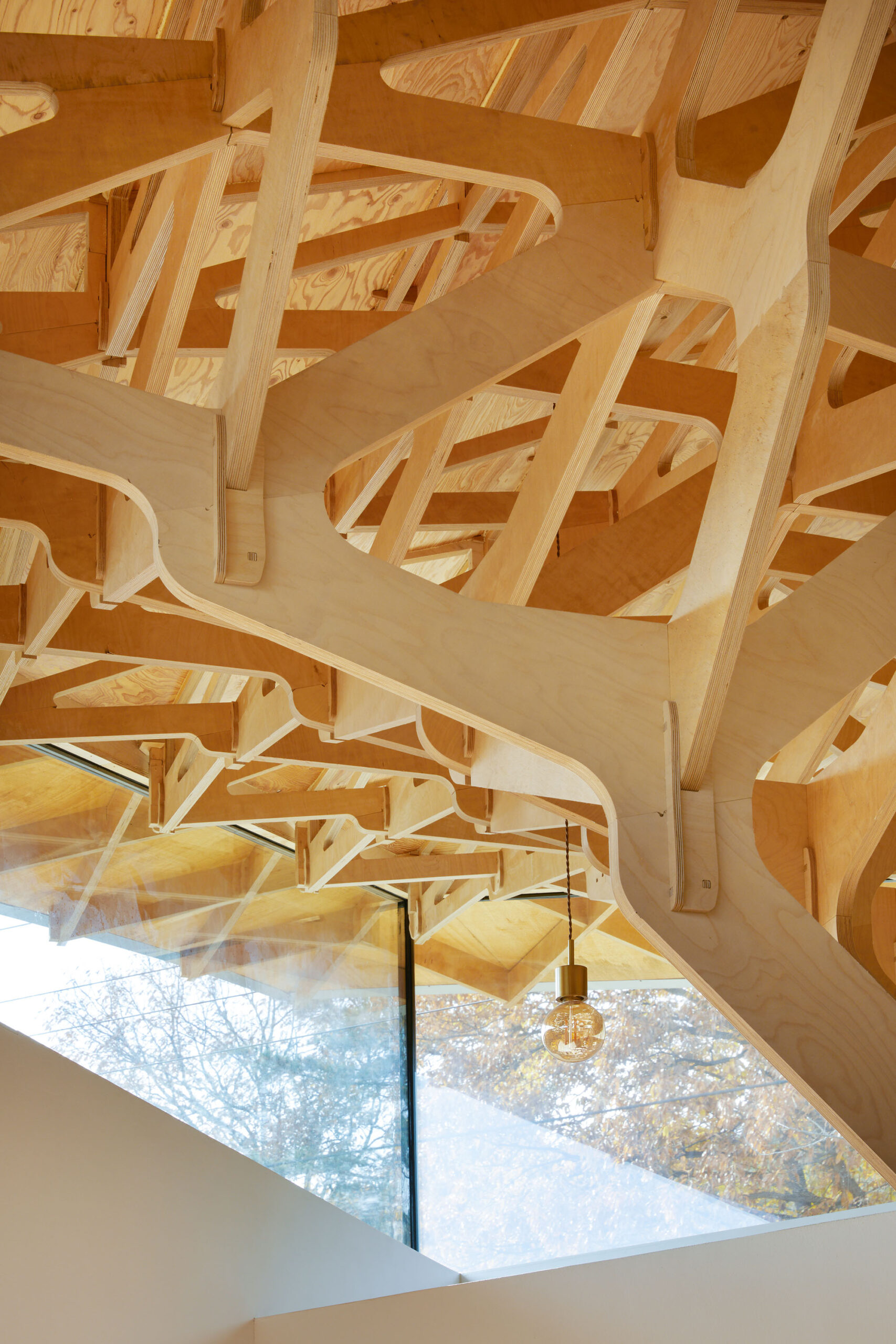 〈3本の木の家（The House of Three Trees）〉JK-AR（Jae Kim Architects & Researchers）
