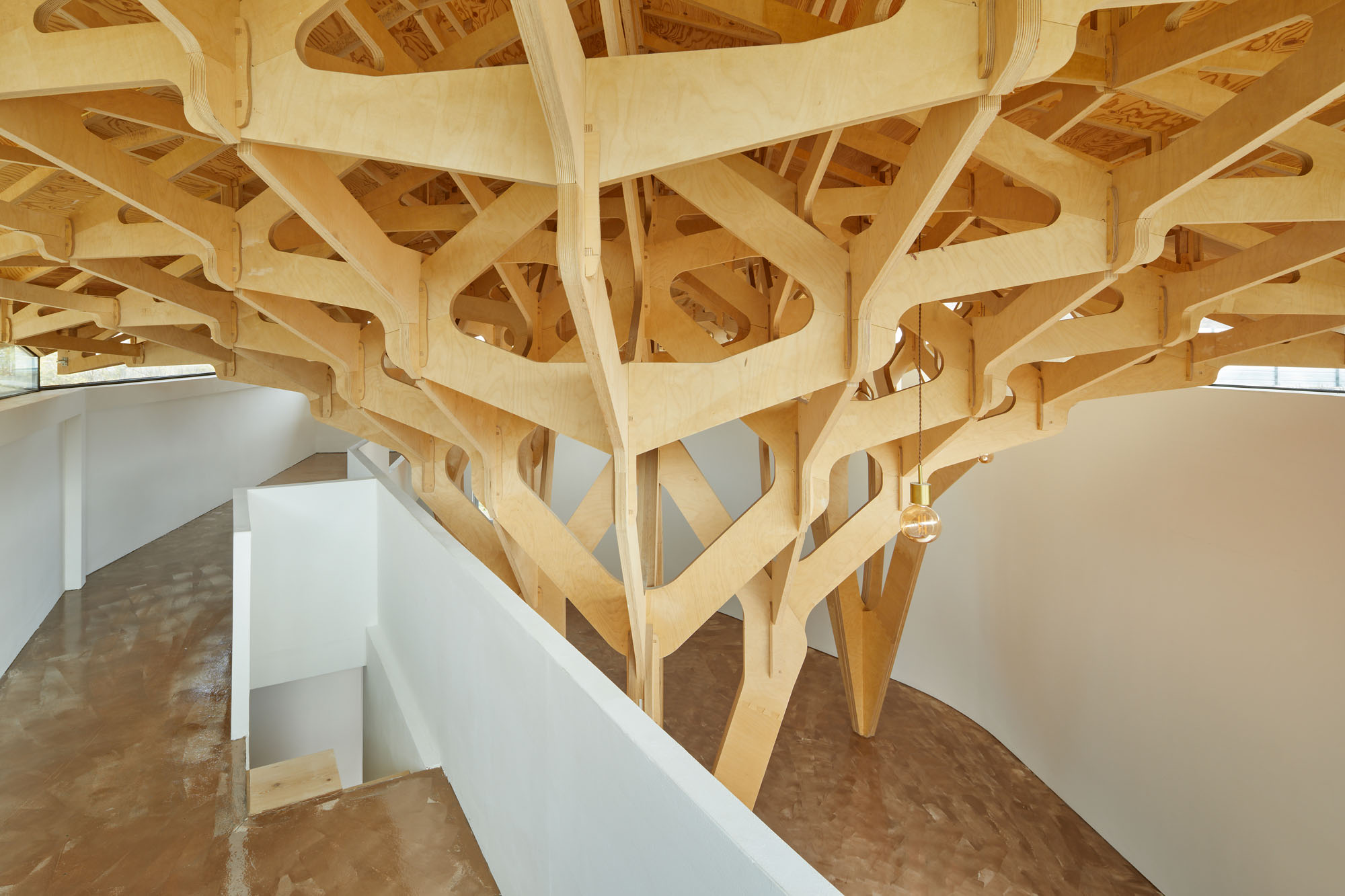 〈3本の木の家（The House of Three Trees）〉JK-AR（Jae Kim Architects & Researchers）