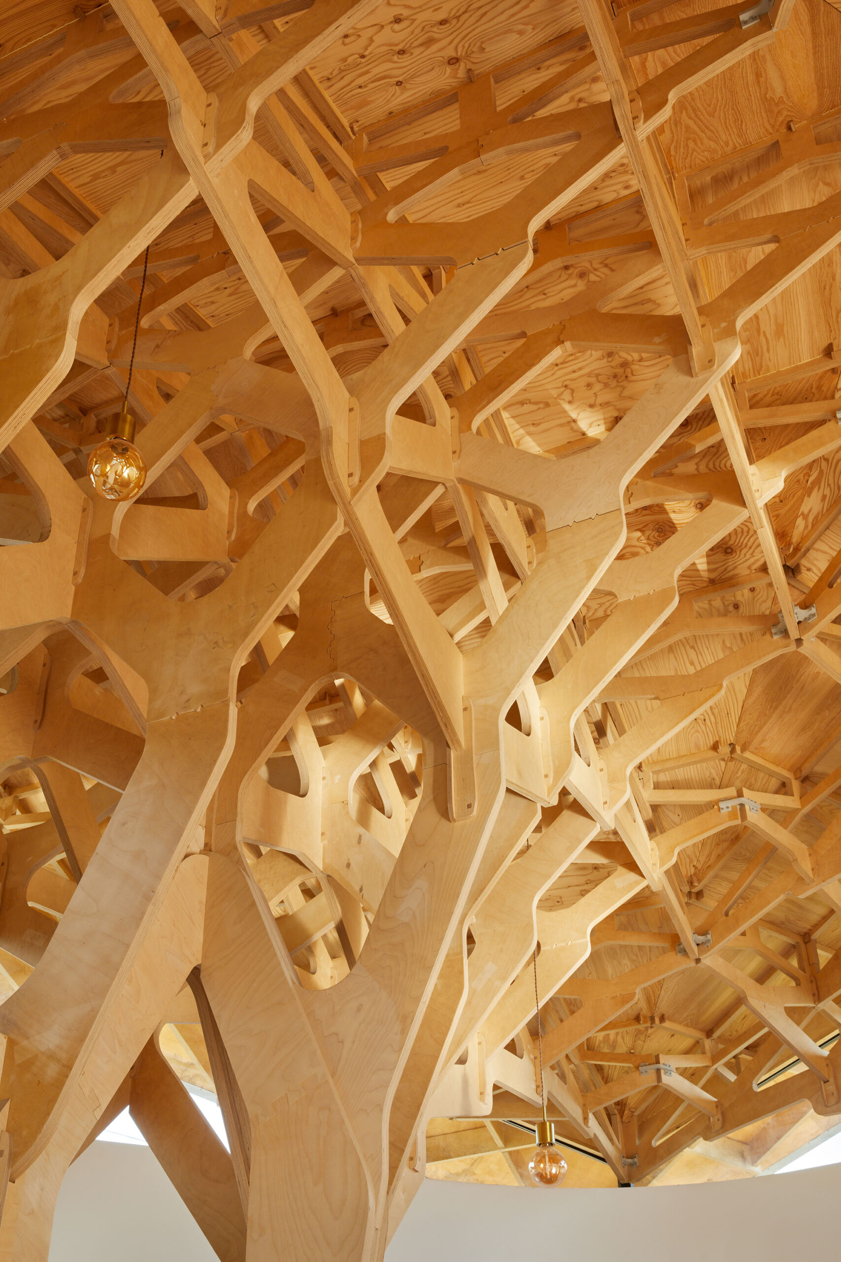 〈3本の木の家（The House of Three Trees）〉JK-AR（Jae Kim Architects & Researchers）