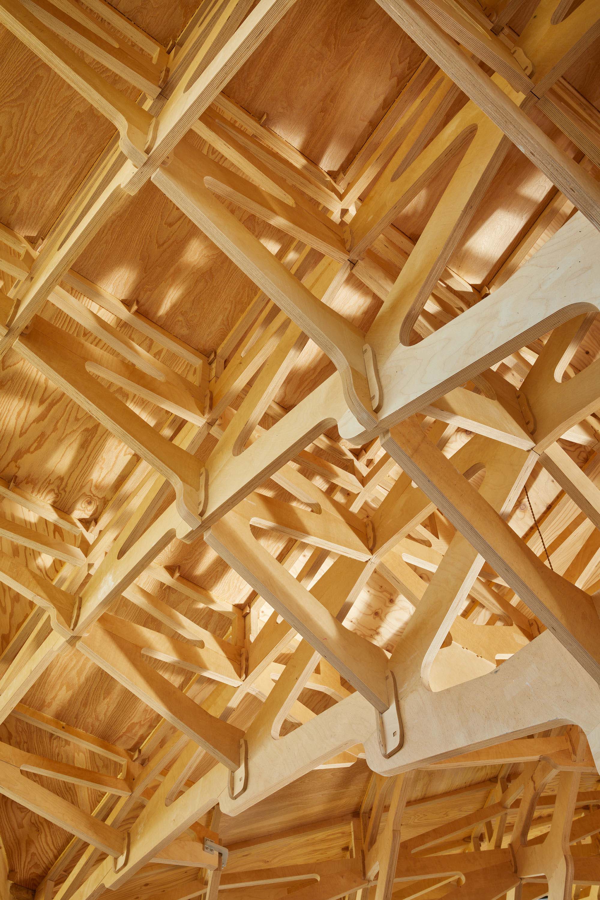 〈3本の木の家（The House of Three Trees）〉JK-AR（Jae Kim Architects & Researchers）