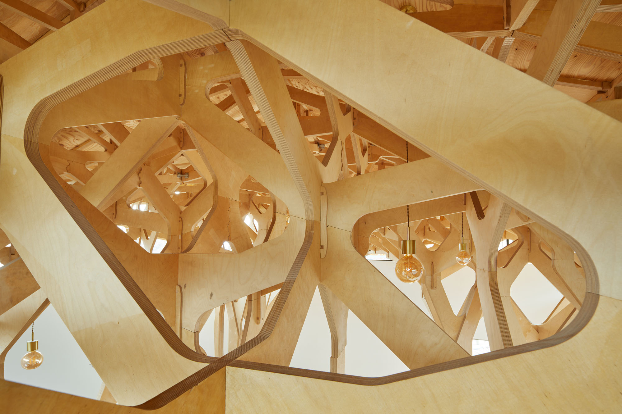 〈3本の木の家（The House of Three Trees）〉JK-AR（Jae Kim Architects & Researchers）