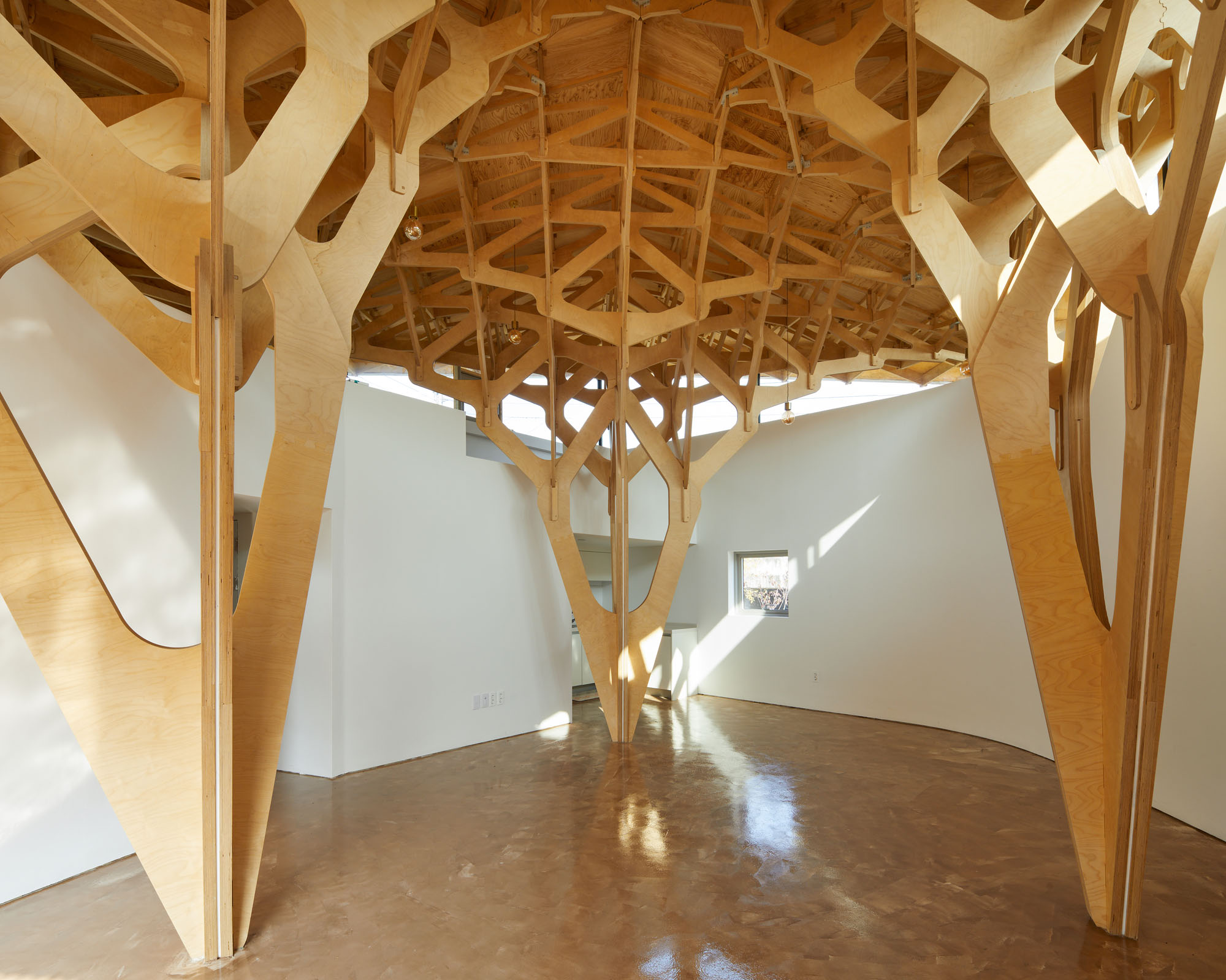 〈3本の木の家（The House of Three Trees）〉JK-AR（Jae Kim Architects & Researchers）