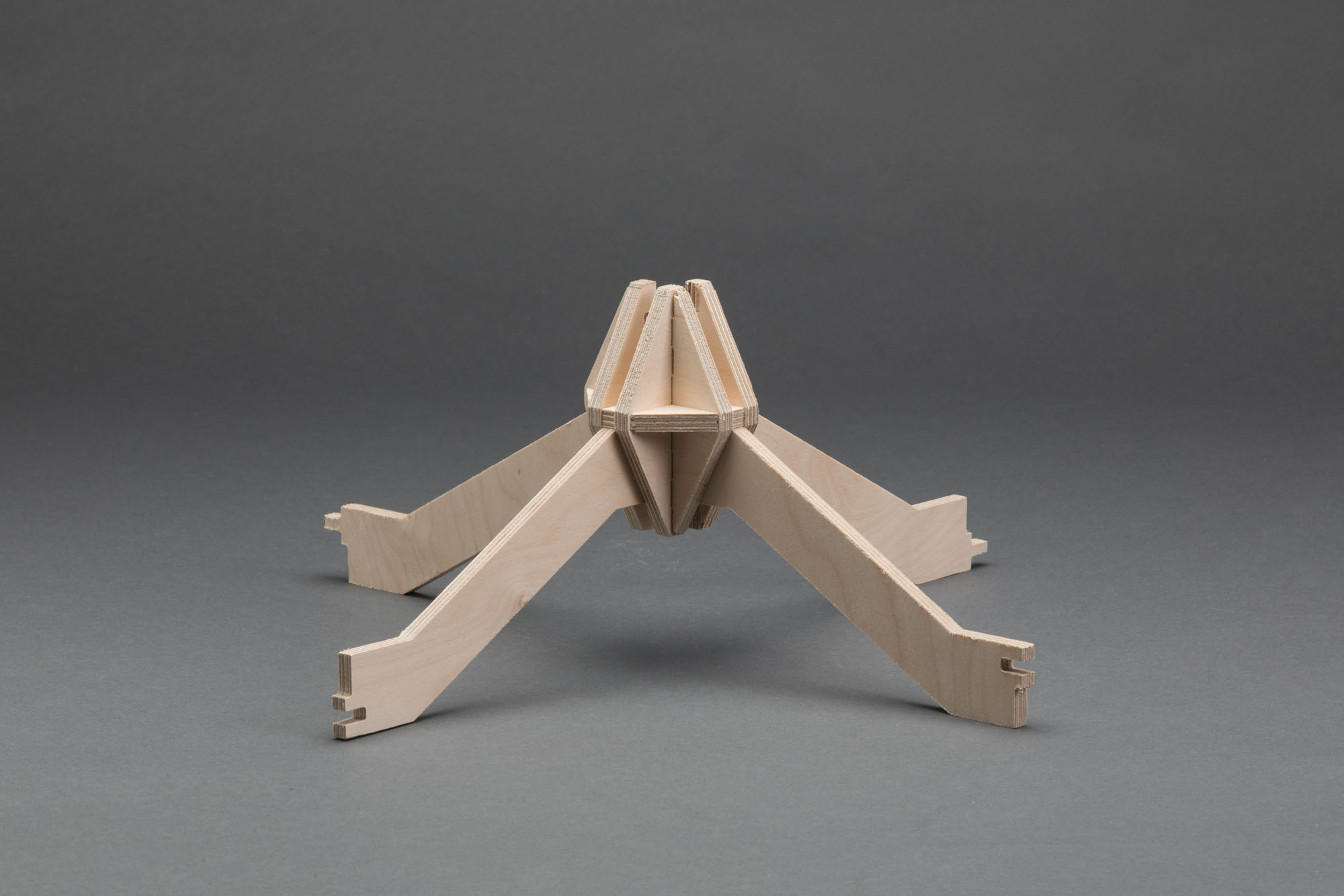 〈3本の木の家（The House of Three Trees）〉JK-AR（Jae Kim Architects & Researchers）