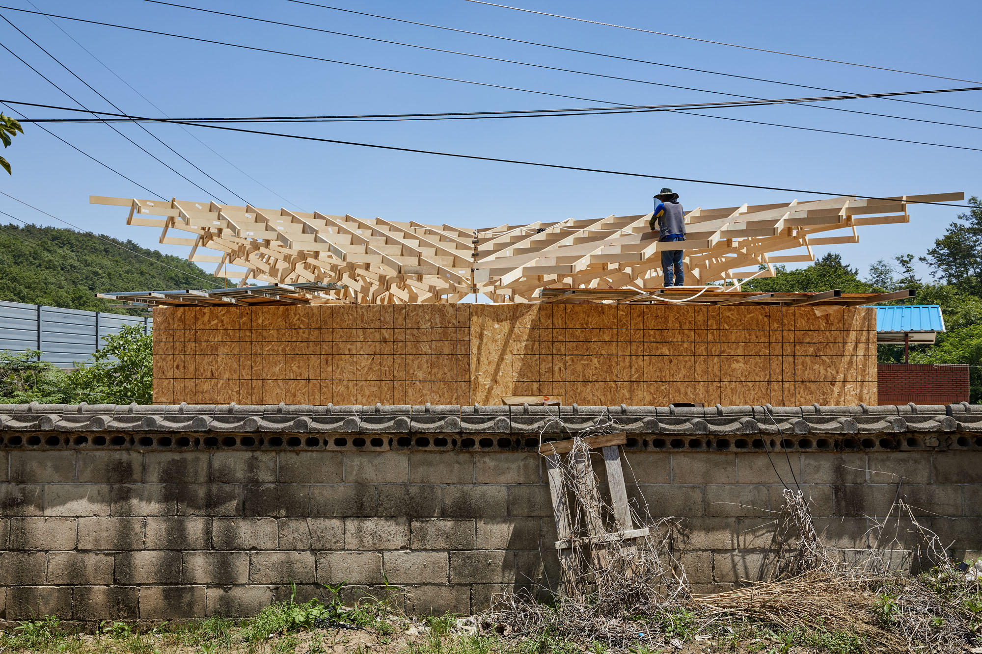 〈3本の木の家（The House of Three Trees）〉JK-AR（Jae Kim Architects & Researchers）