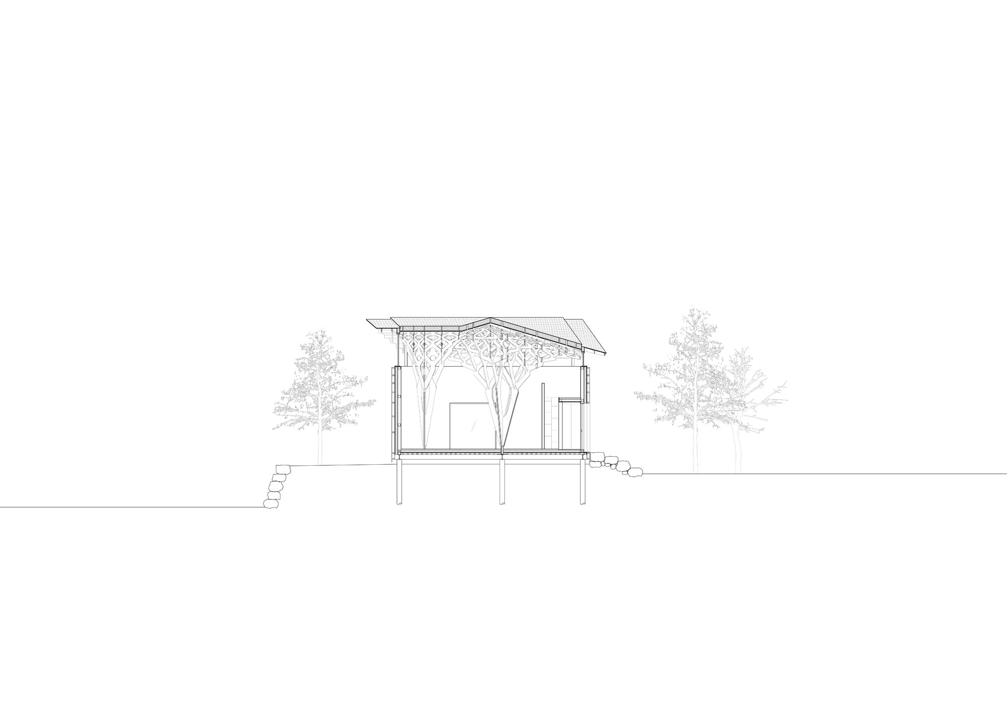 〈3本の木の家（The House of Three Trees）〉JK-AR（Jae Kim Architects & Researchers）