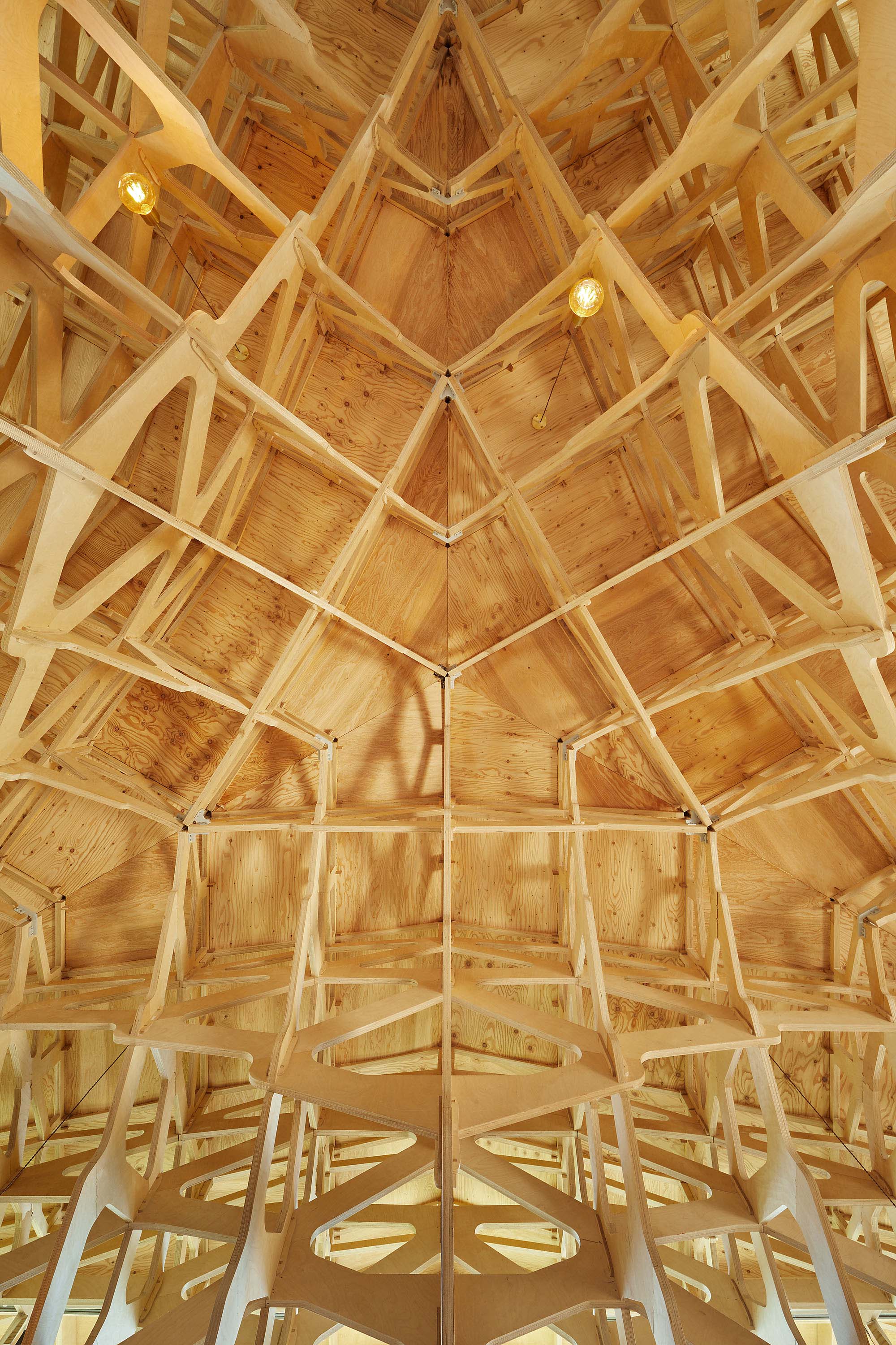 〈3本の木の家（The House of Three Trees）〉JK-AR（Jae Kim Architects & Researchers）