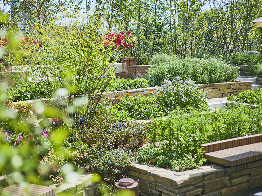 竹中庭園緑化が造園・ランドスケープデザイナーを募集