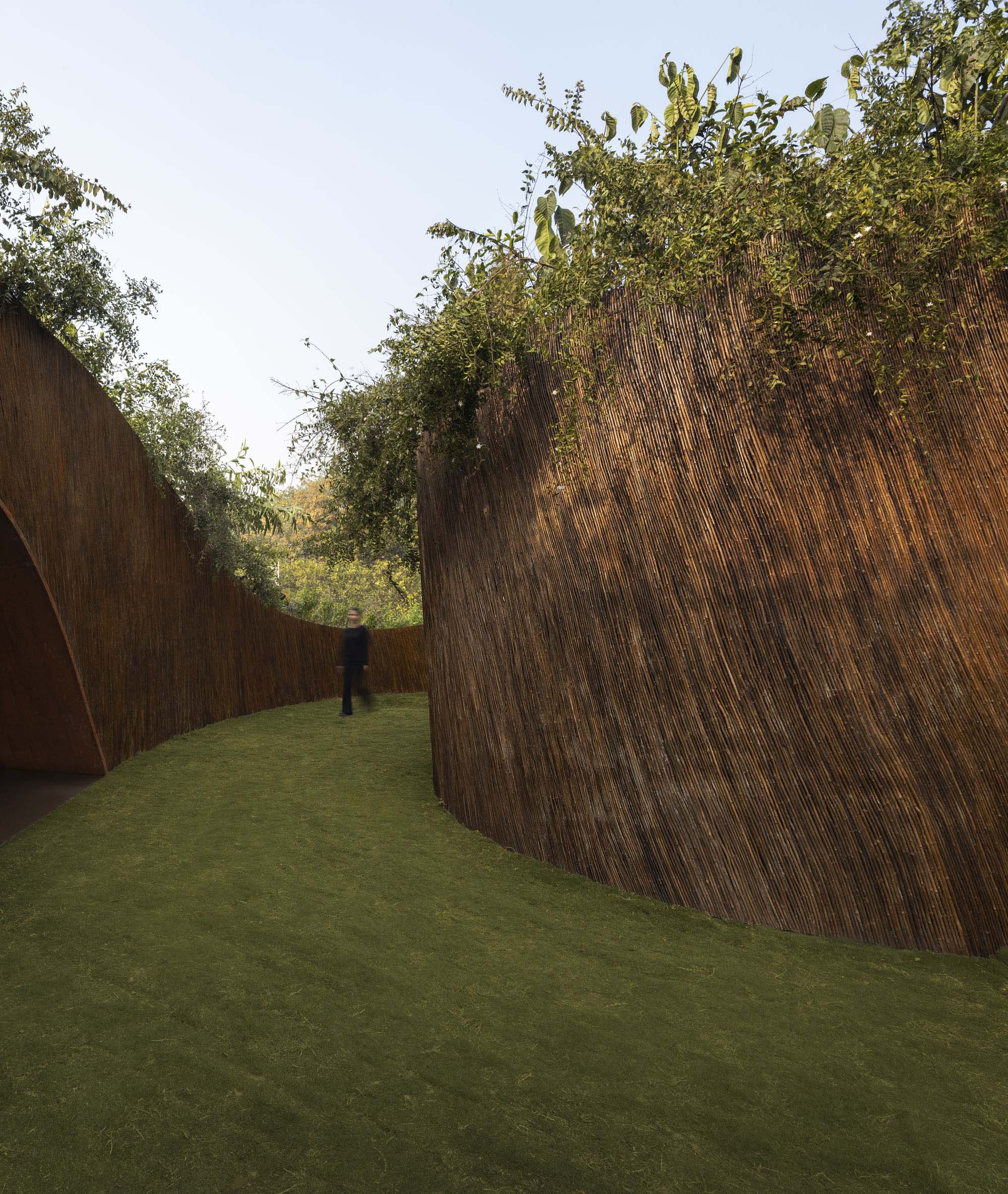 〈アラニャニ・パビリオン：聖なる自然（Aranyani Pavilion: Sacred Nature）〉T__M.space
