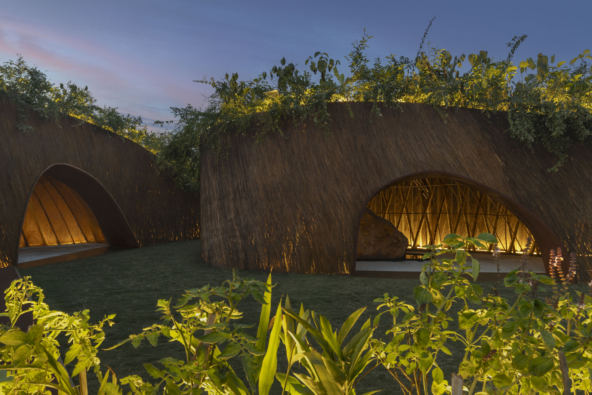 〈アラニャニ・パビリオン：聖なる自然（Aranyani Pavilion: Sacred Nature）〉T__M.space