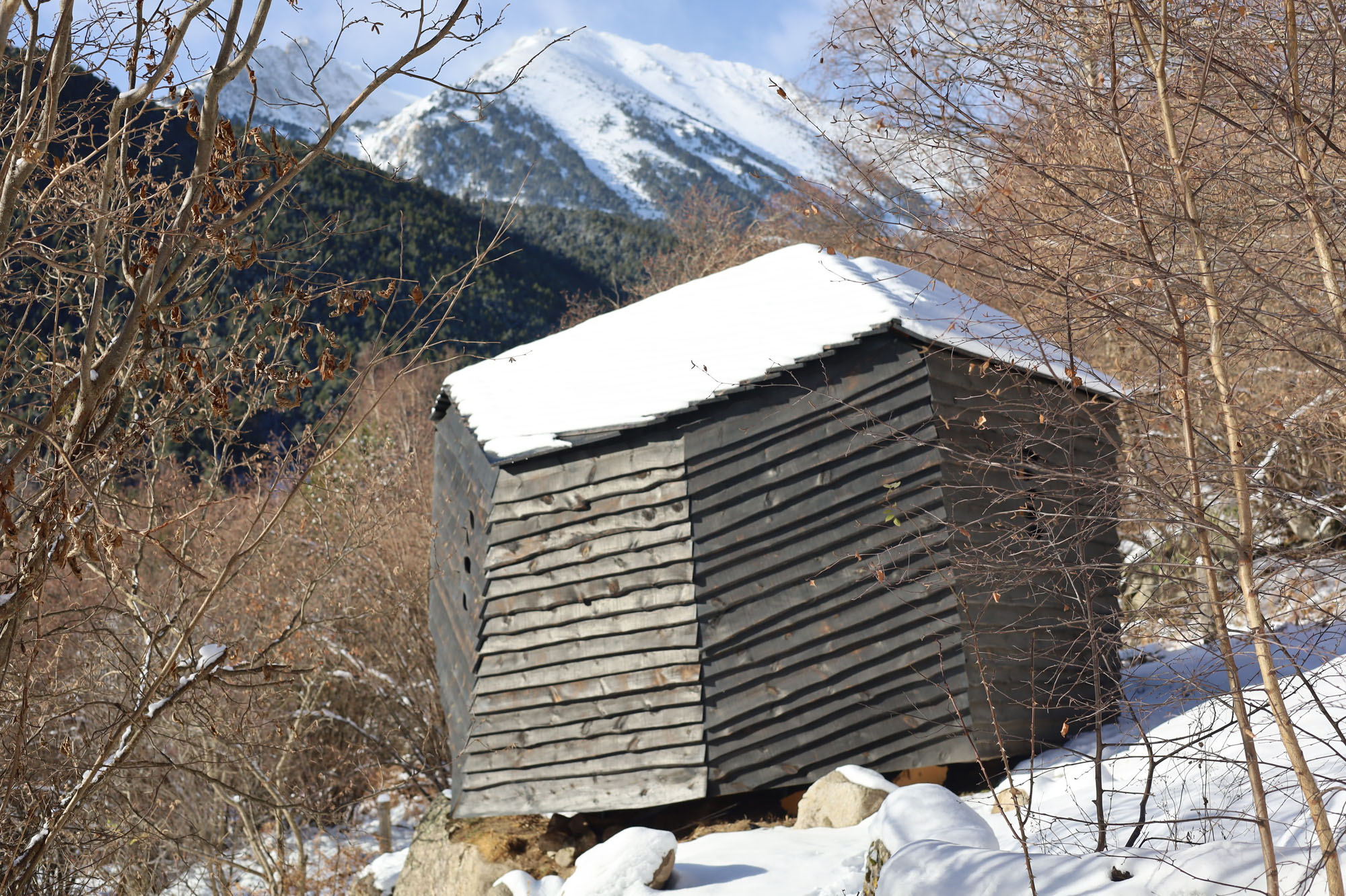 〈フォレストーン(Forestone)〉IAAC(カタルーニャ先端建築研究所)
