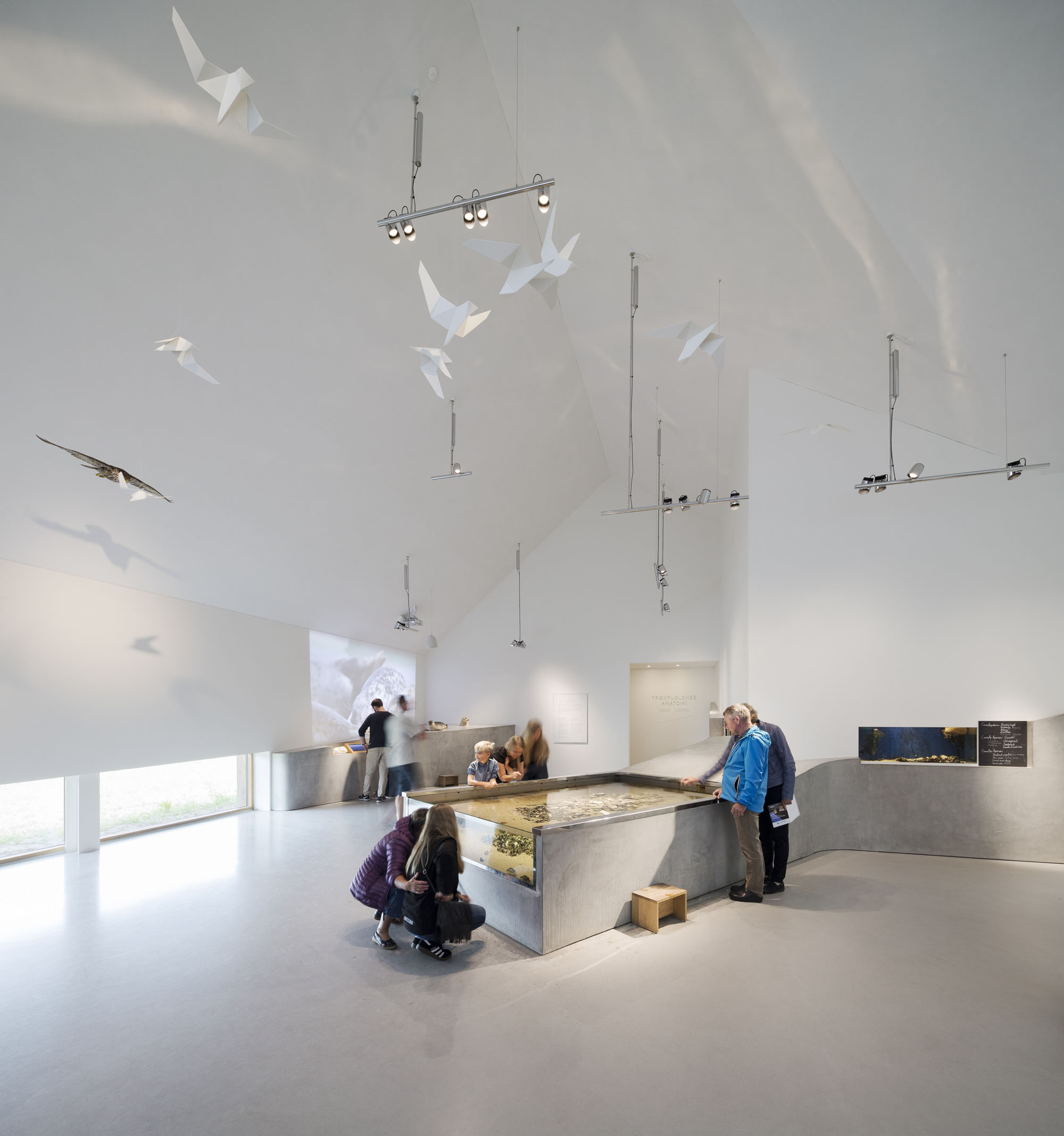 〈ワッデン・シー・センター(Wadden Sea Centre)〉ドルテ・マンドラップ(Dorte Mandrup)