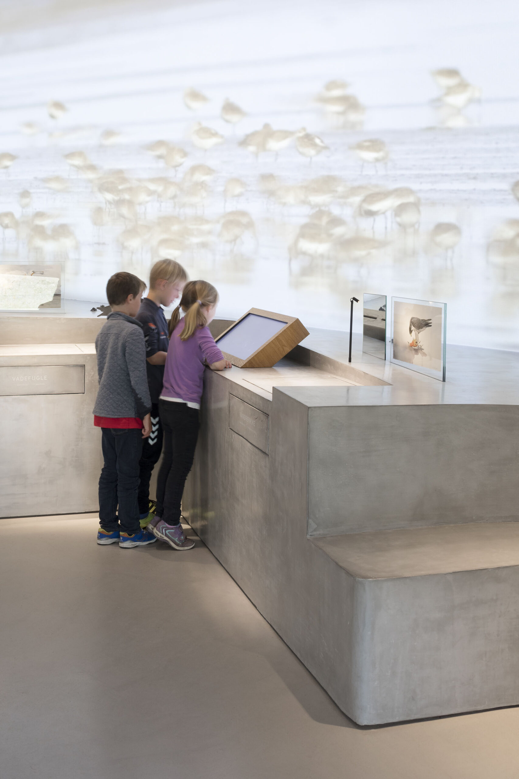 〈ワッデン・シー・センター(Wadden Sea Centre)〉ドルテ・マンドラップ(Dorte Mandrup)