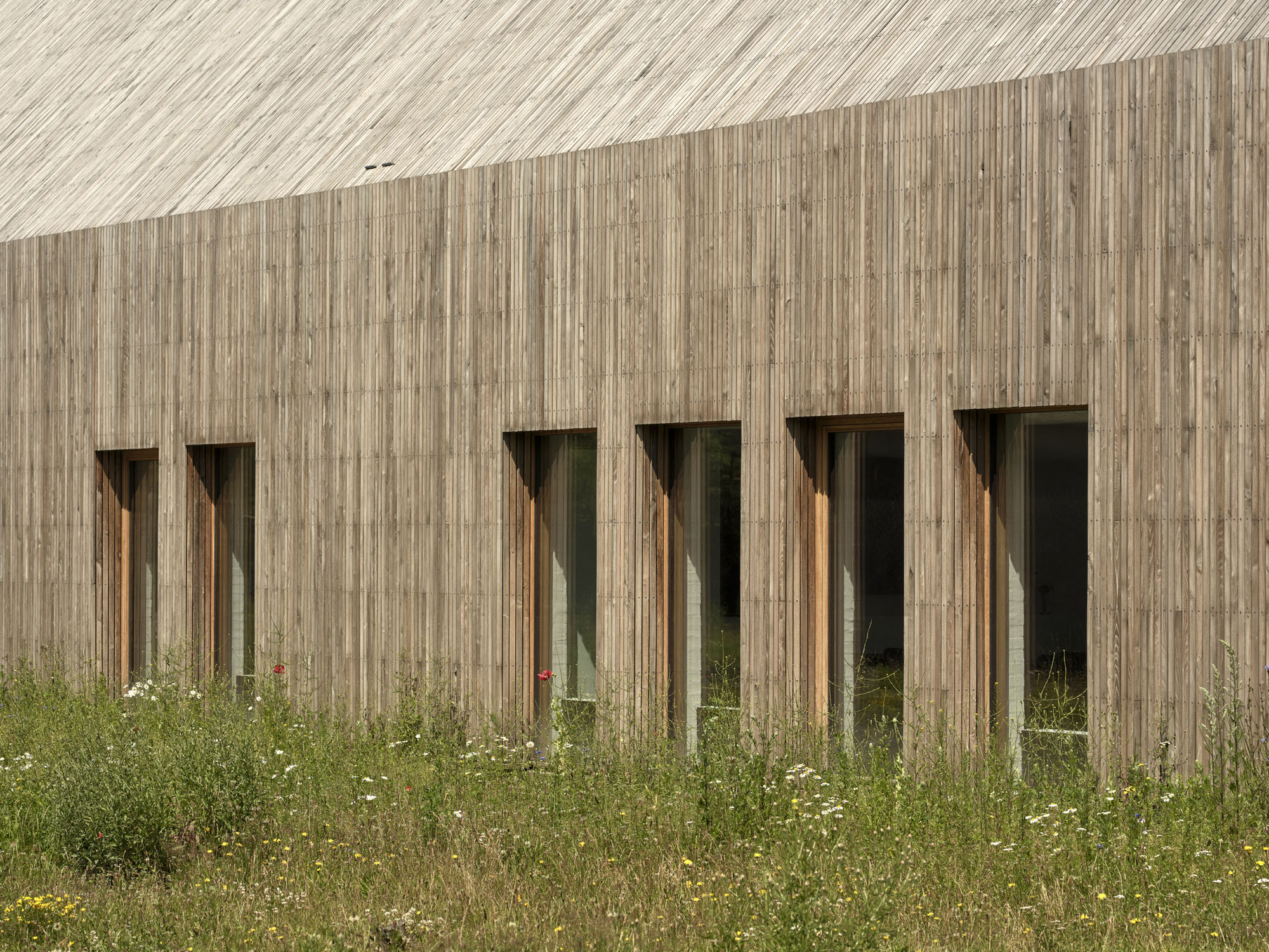 〈ワッデン・シー・センター(Wadden Sea Centre)〉ドルテ・マンドラップ(Dorte Mandrup)