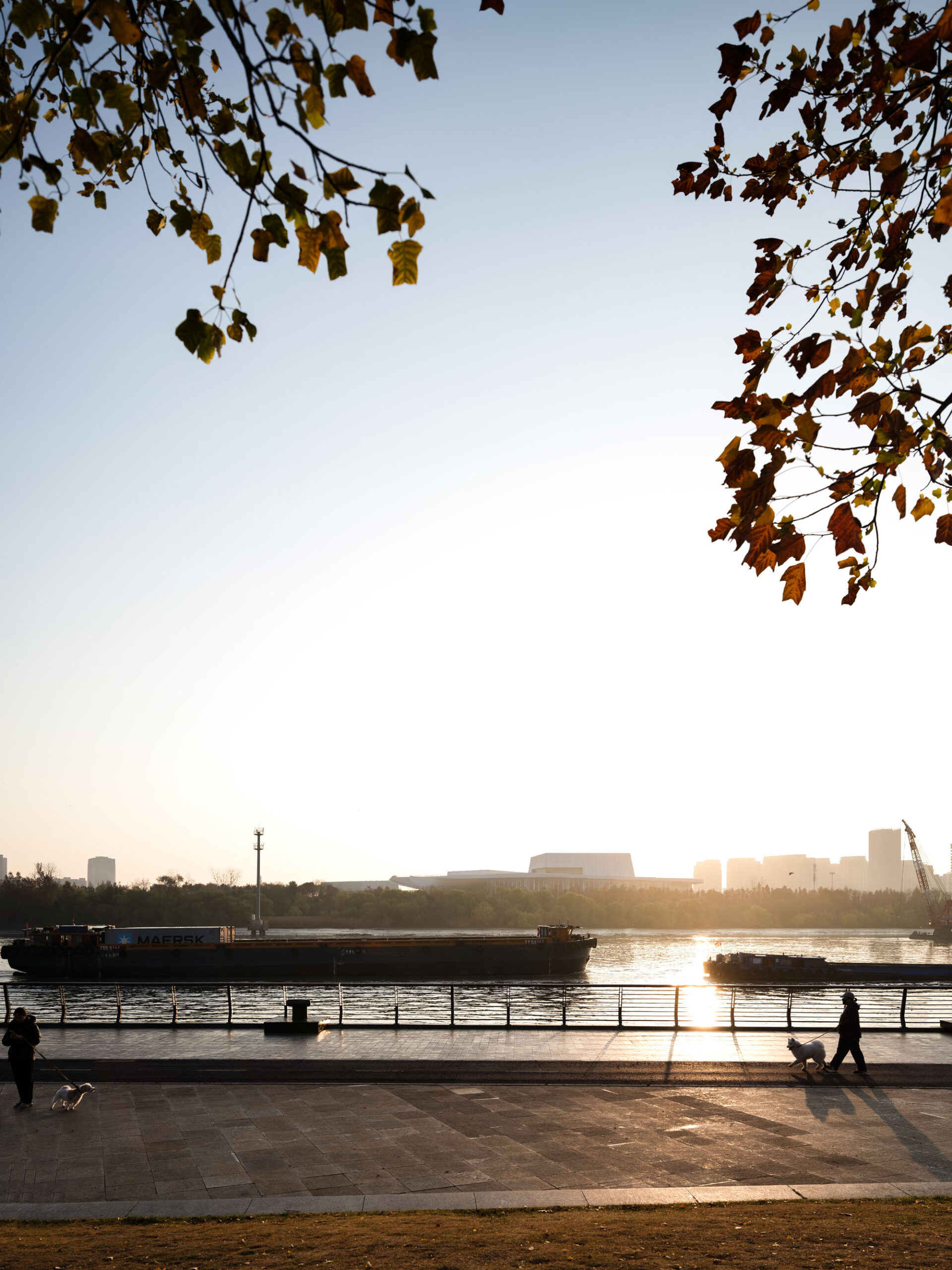 〈上海グランドオペラハウス(Shanghai Grand Opera House)〉スノヘッタ(Snøhetta)