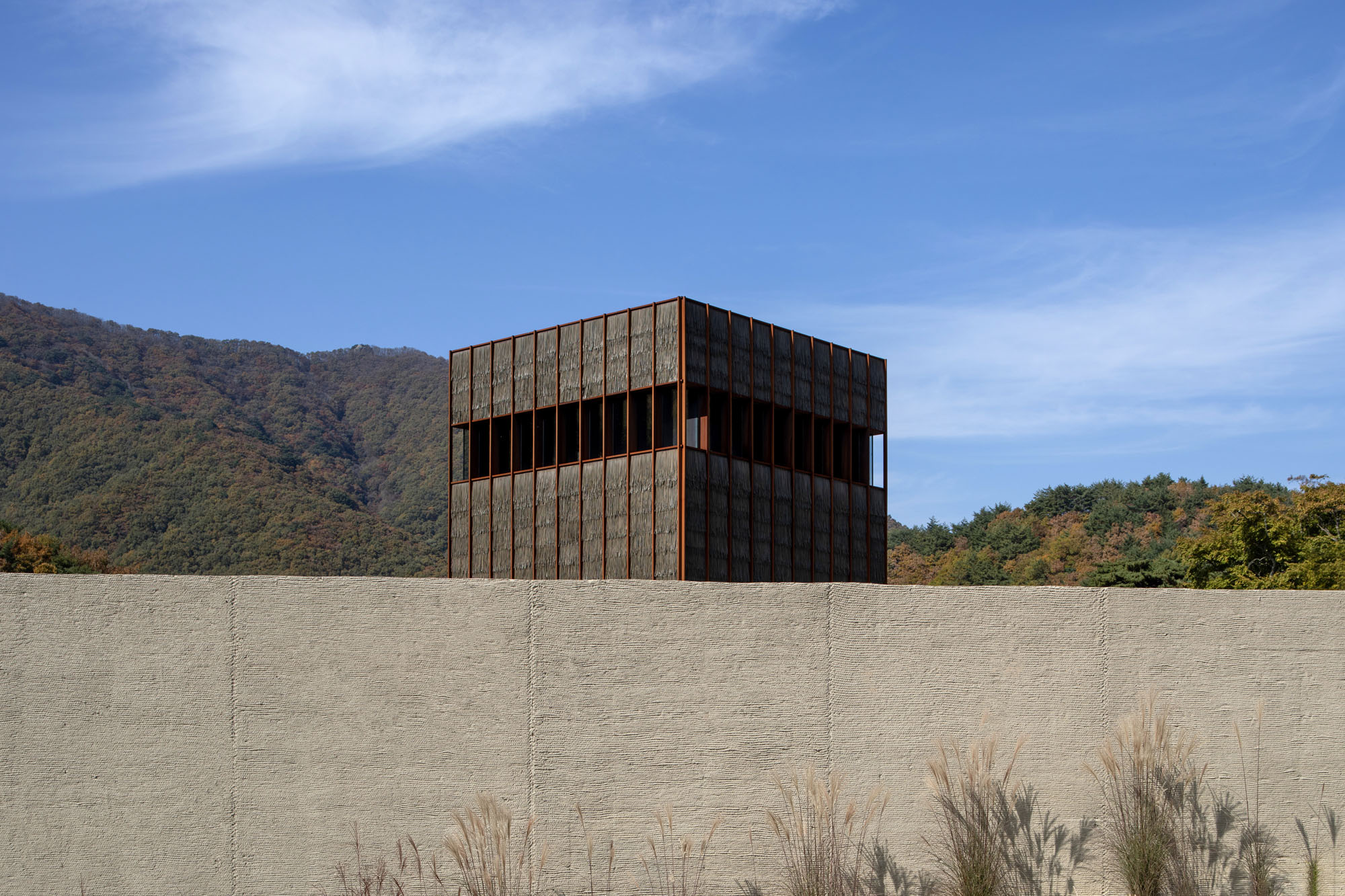 〈Mugok〉100A associates