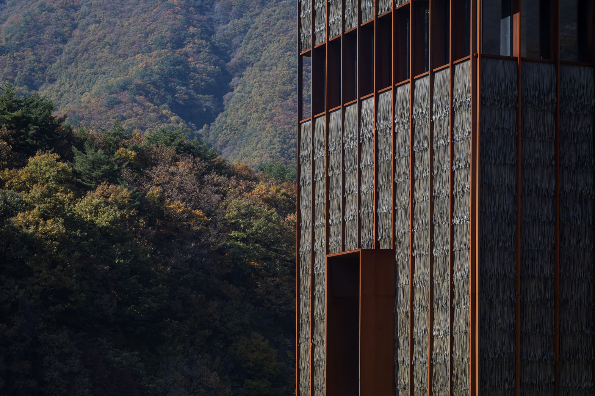 〈Mugok〉100A associates