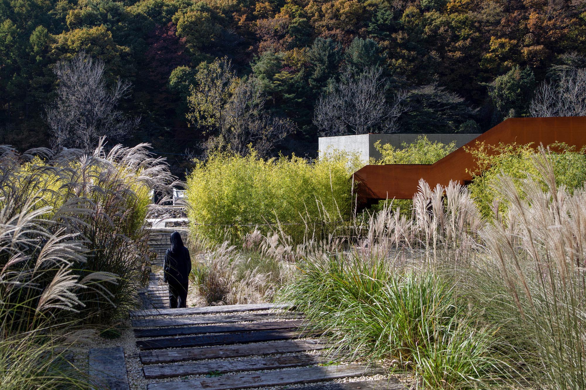 〈Mugok〉100A associates