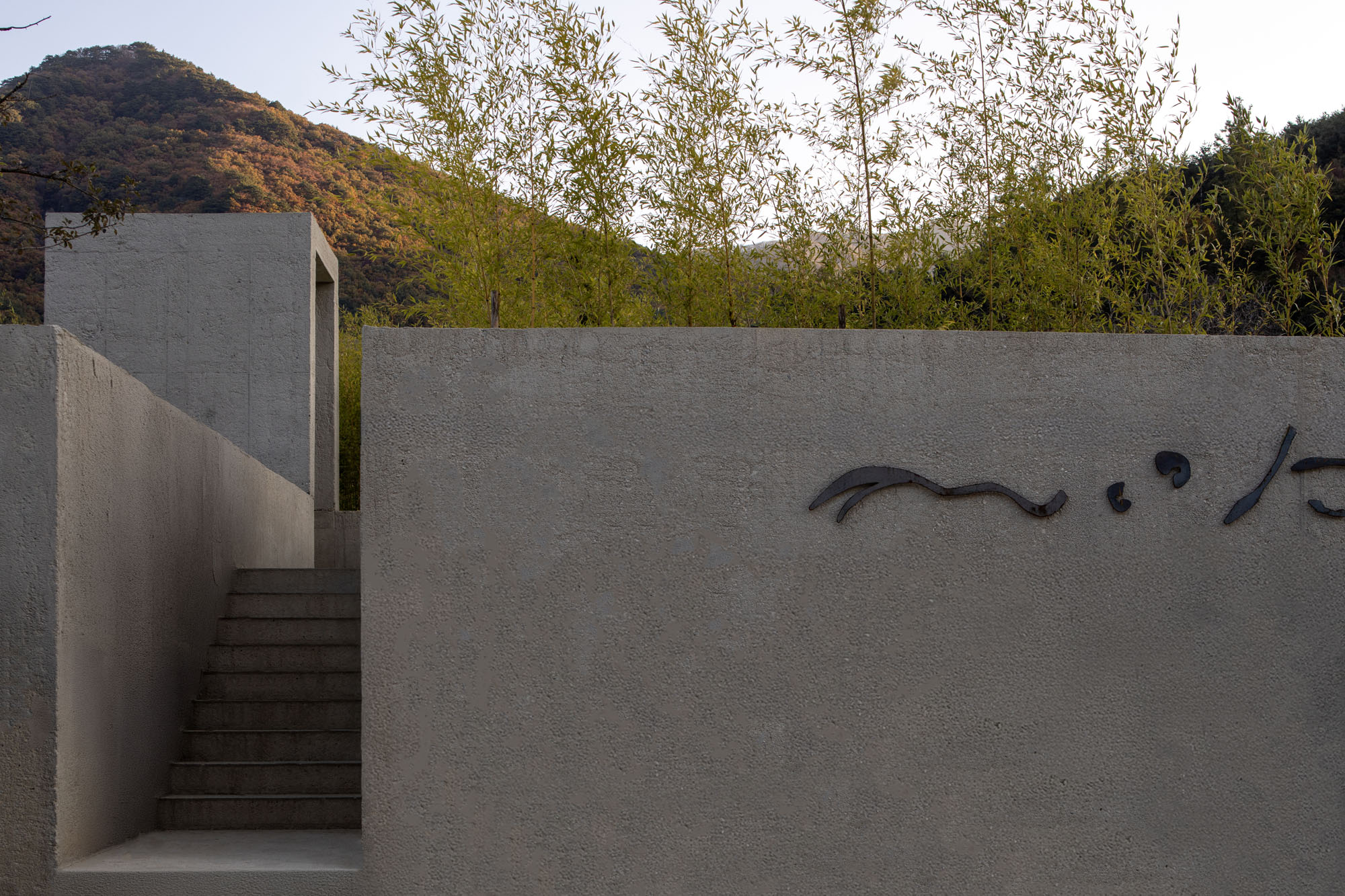 〈Mugok〉100A associates