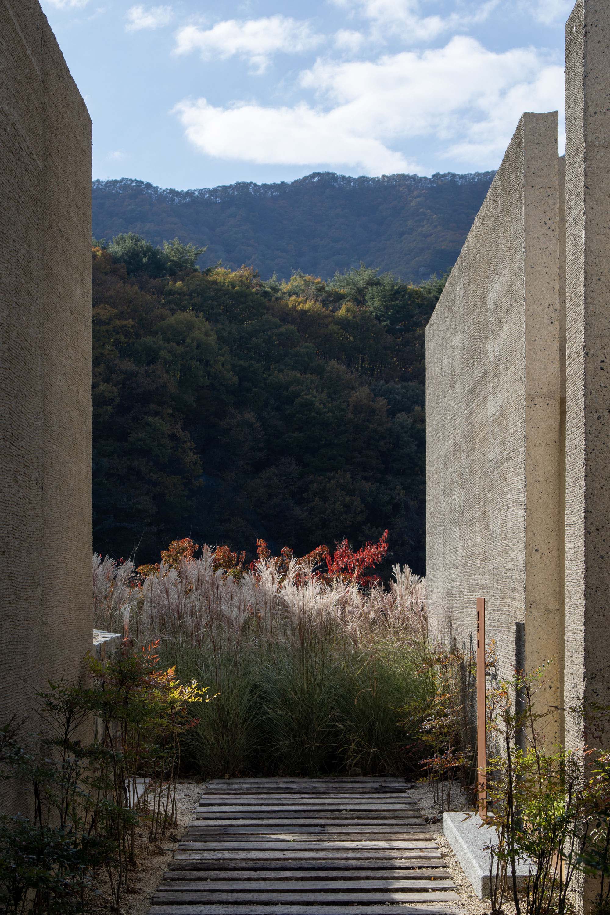 〈Mugok〉100A associates