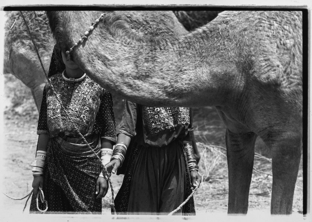 高木由利子 Threads of Beautyシリーズより