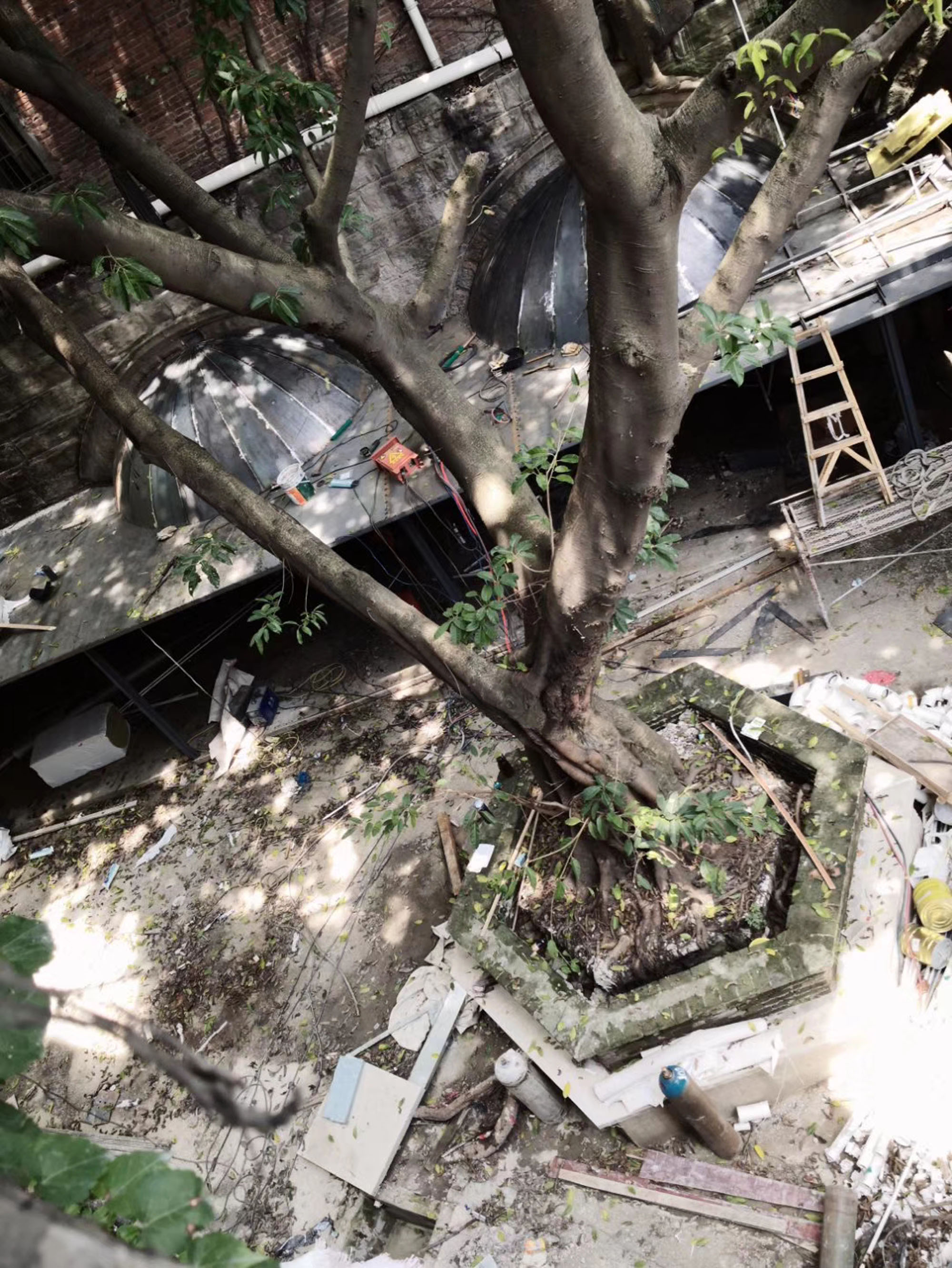 〈The Cave Bar〉Qing Studio