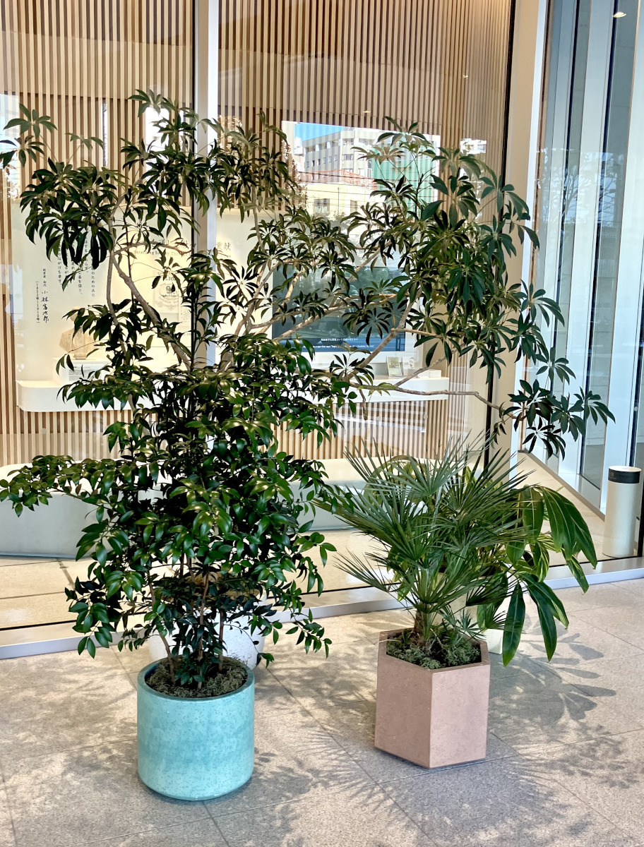 ライオンオフィス