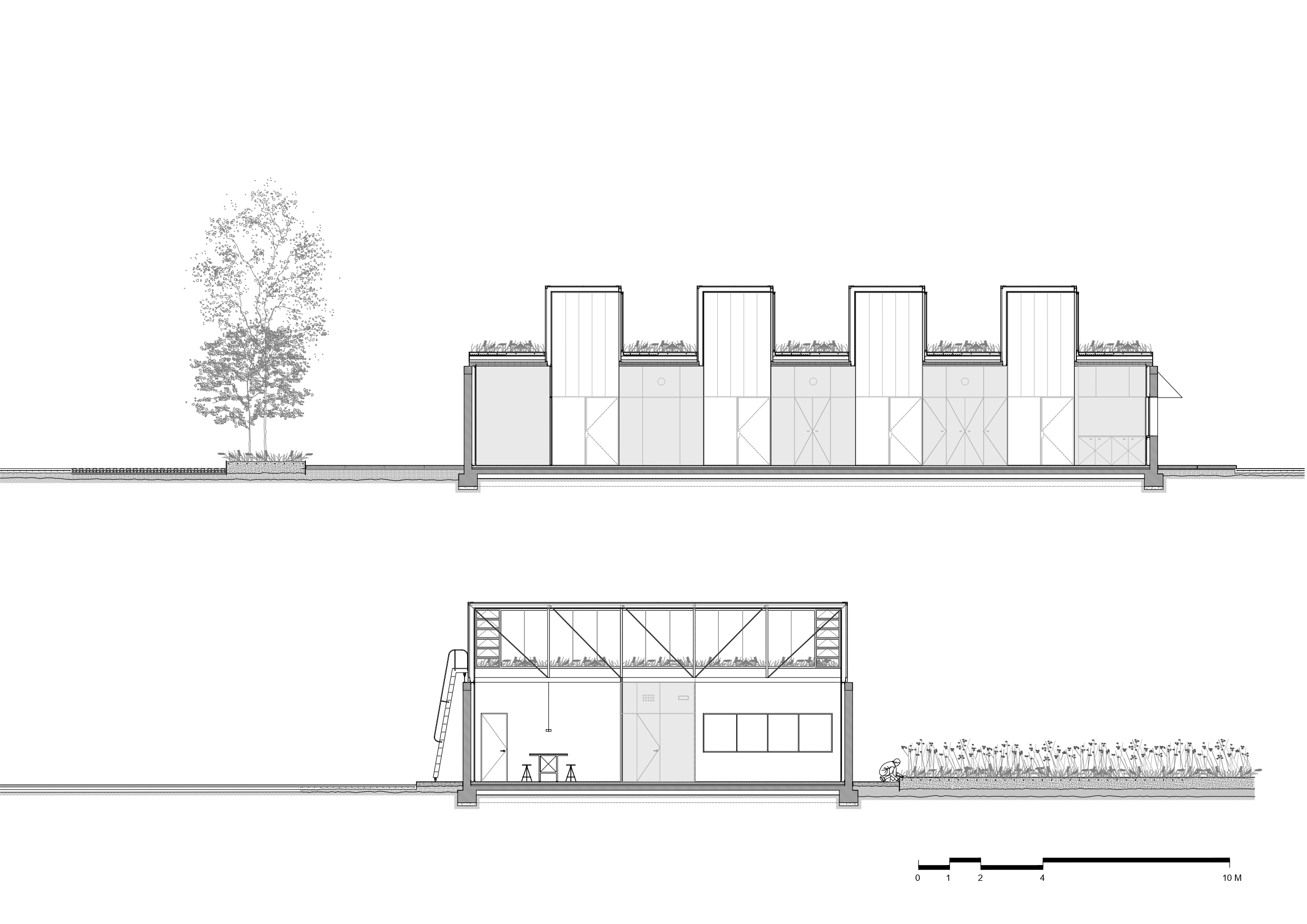 〈アグロセミージャス・オフィス（Agrosemillas Offices）〉インペピナブル・スタジオ（Impepinable Studio）