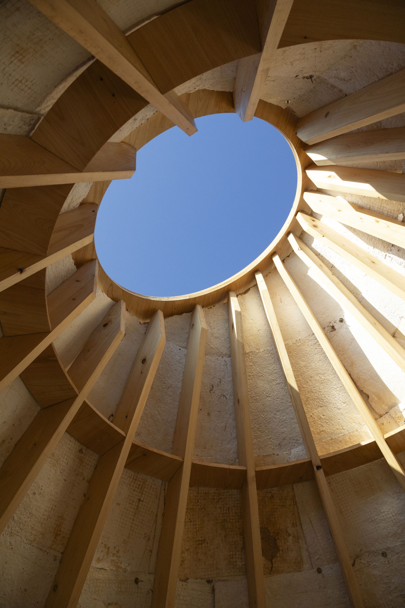 〈マイセリウム・ハット（Mycelial Hut）〉ヨンジュ・リー・アーキテクチャ（Yong Ju Lee Architecture）