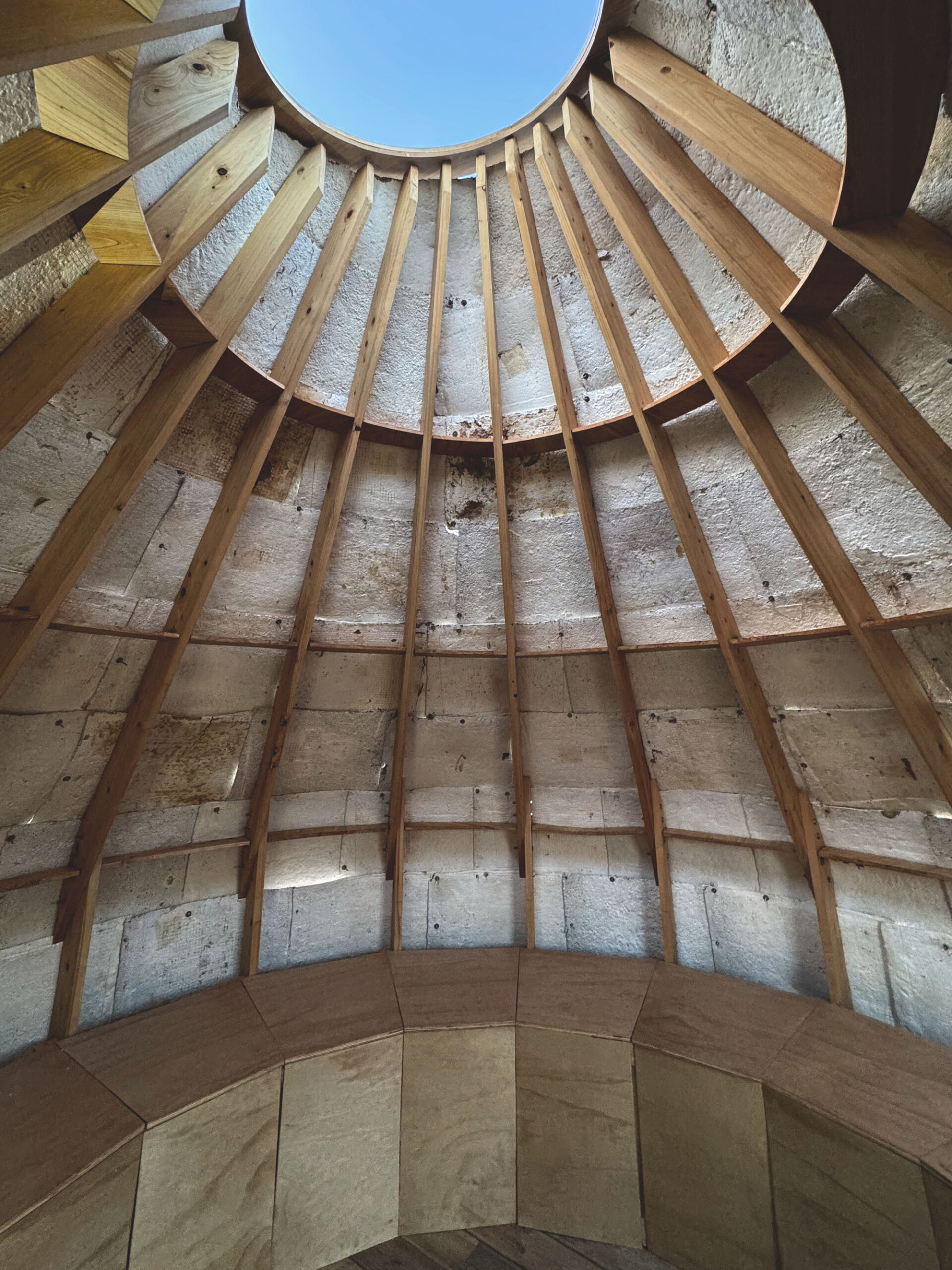 〈マイセリウム・ハット（Mycelial Hut）〉ヨンジュ・リー・アーキテクチャ（Yong Ju Lee Architecture）