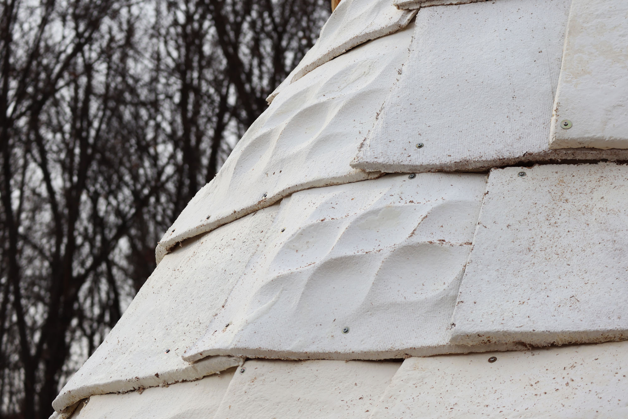 〈マイセリウム・ハット（Mycelial Hut）〉ヨンジュ・リー・アーキテクチャ（Yong Ju Lee Architecture）