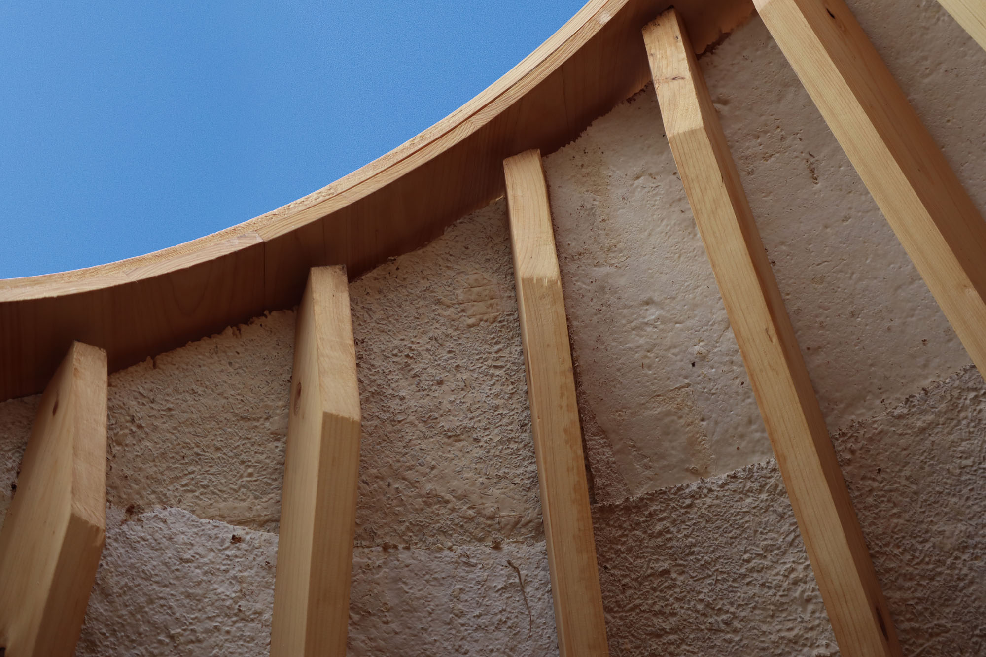 〈マイセリウム・ハット（Mycelial Hut）〉ヨンジュ・リー・アーキテクチャ（Yong Ju Lee Architecture）