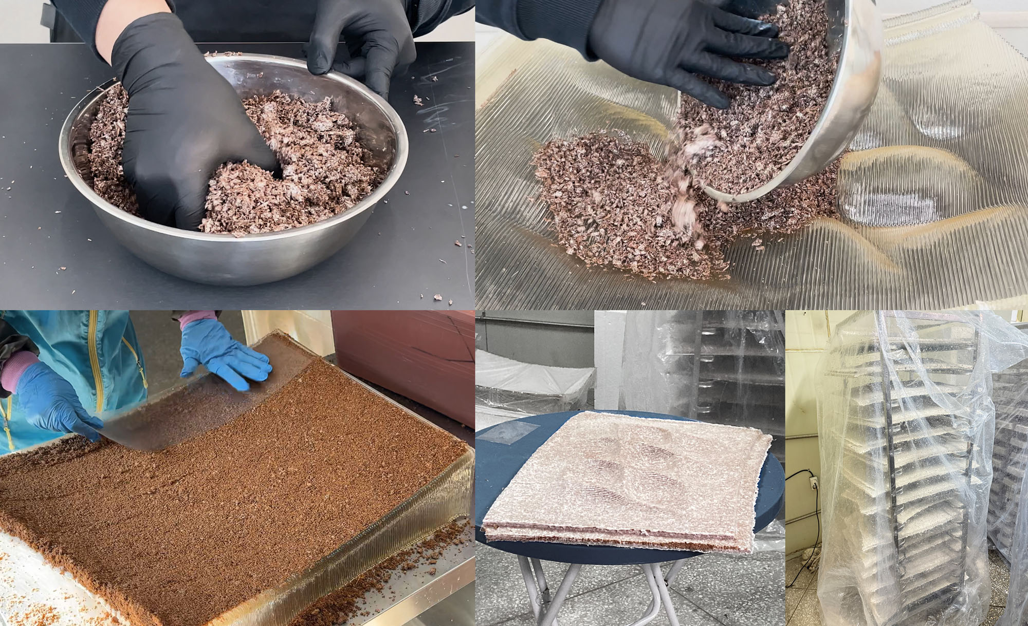 〈マイセリウム・ハット（Mycelial Hut）〉ヨンジュ・リー・アーキテクチャ（Yong Ju Lee Architecture）