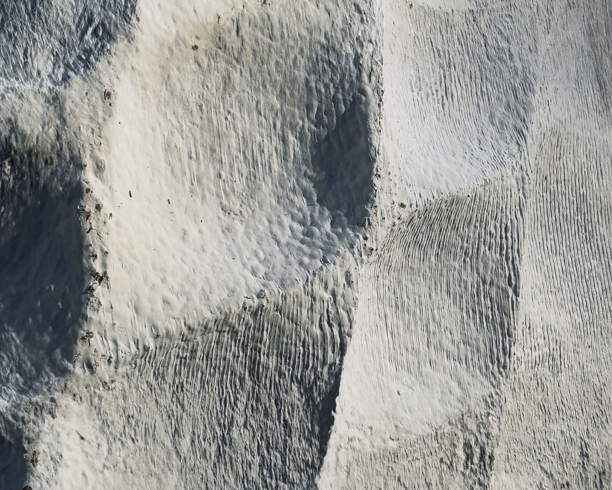 〈マイセリウム・ハット（Mycelial Hut）〉ヨンジュ・リー・アーキテクチャ（Yong Ju Lee Architecture）