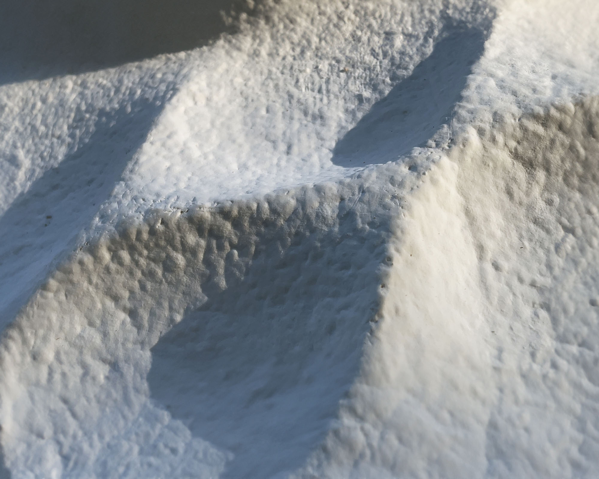 〈マイセリウム・ハット（Mycelial Hut）〉ヨンジュ・リー・アーキテクチャ（Yong Ju Lee Architecture）